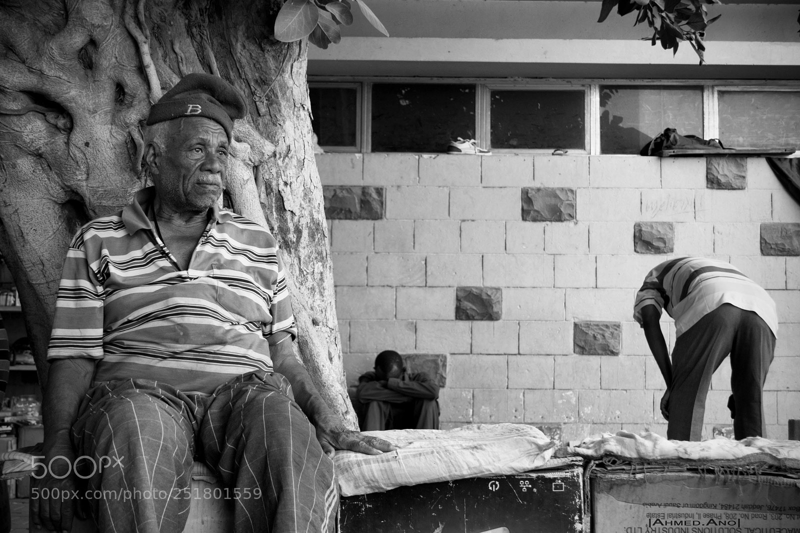 Nikon D5200 sample photo. Lifes photography