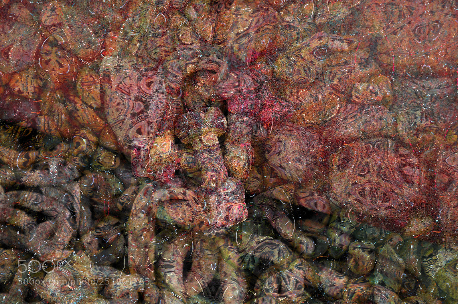 Nikon D300 sample photo. A rusty life photography