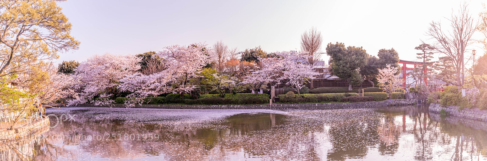 Canon EOS 80D sample photo. Pano photography