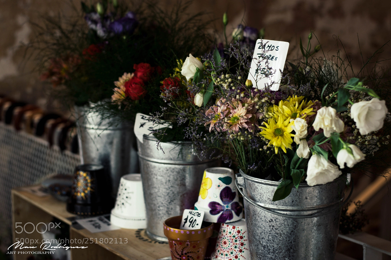 Nikon D3300 sample photo. Flower shop photography