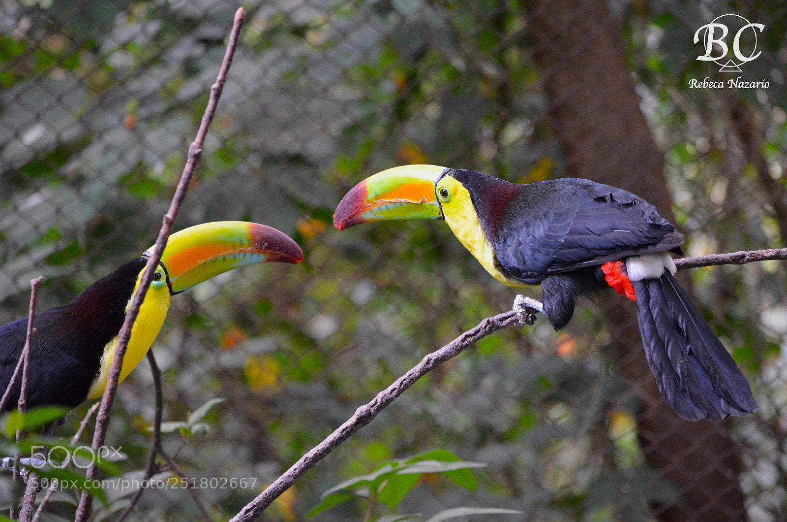 Nikon D5100 sample photo. And i found. photography