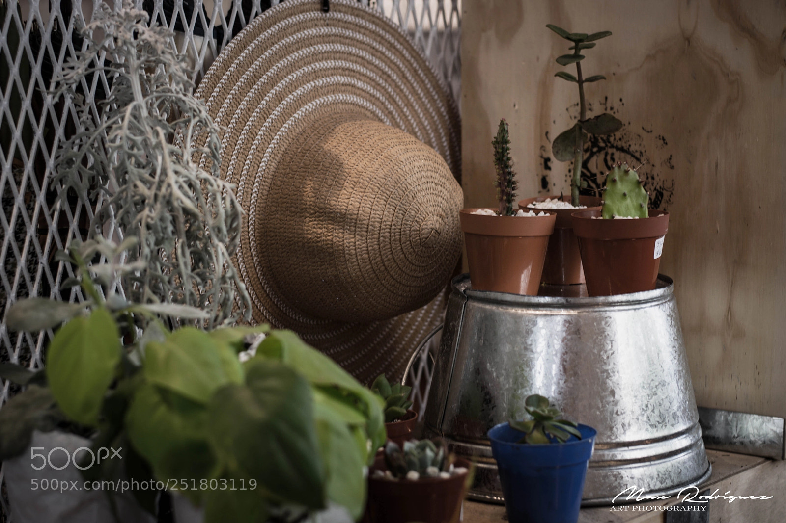 Nikon D3300 sample photo. Mediterranean style photography