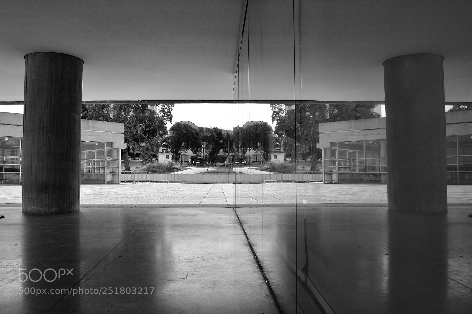 Nikon D3200 sample photo. Reality mirrors image photography