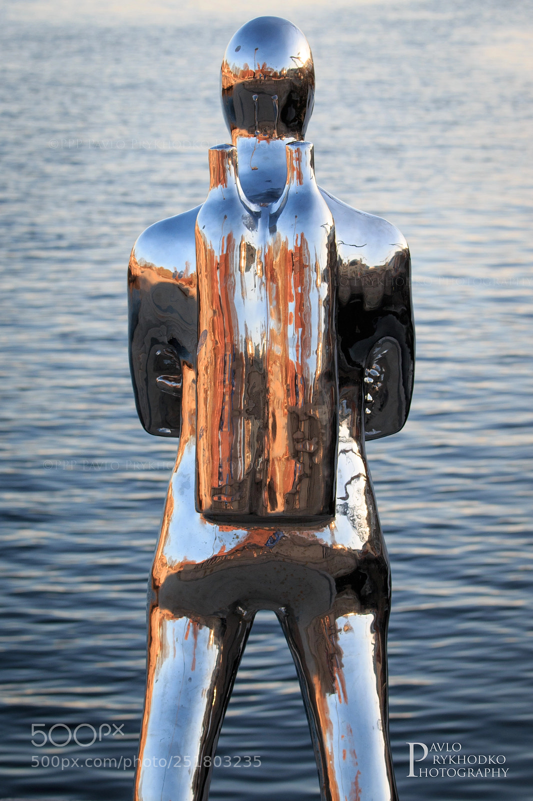 Canon EOS 70D sample photo. The aquaman photography