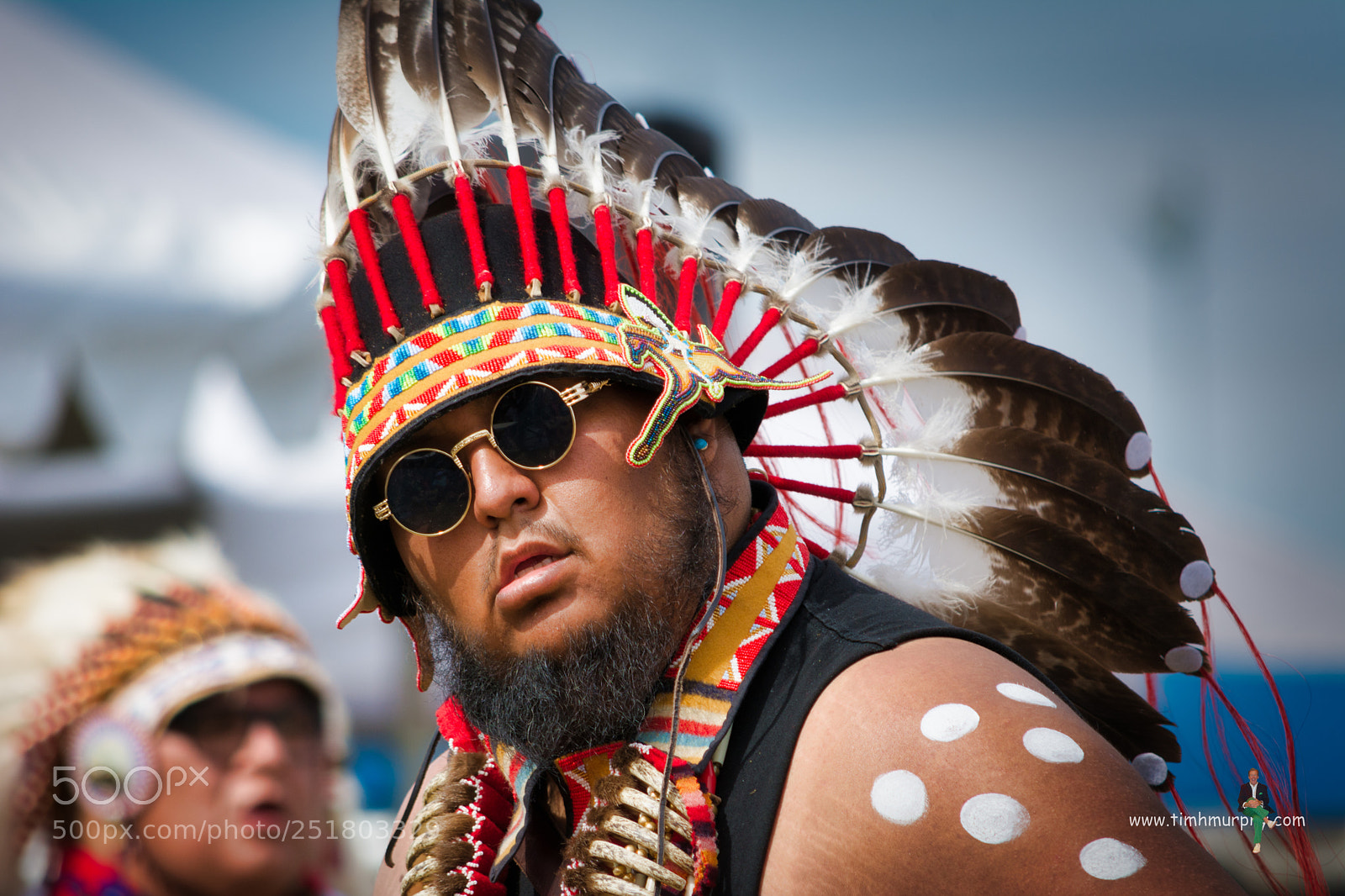 Nikon D7100 sample photo. War bonnet photography