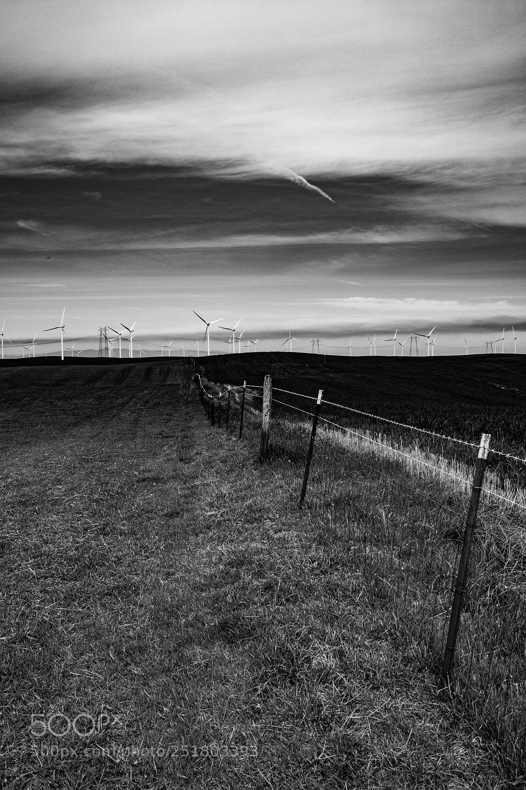 Canon EOS 5D Mark IV sample photo. Untitled 123 photography