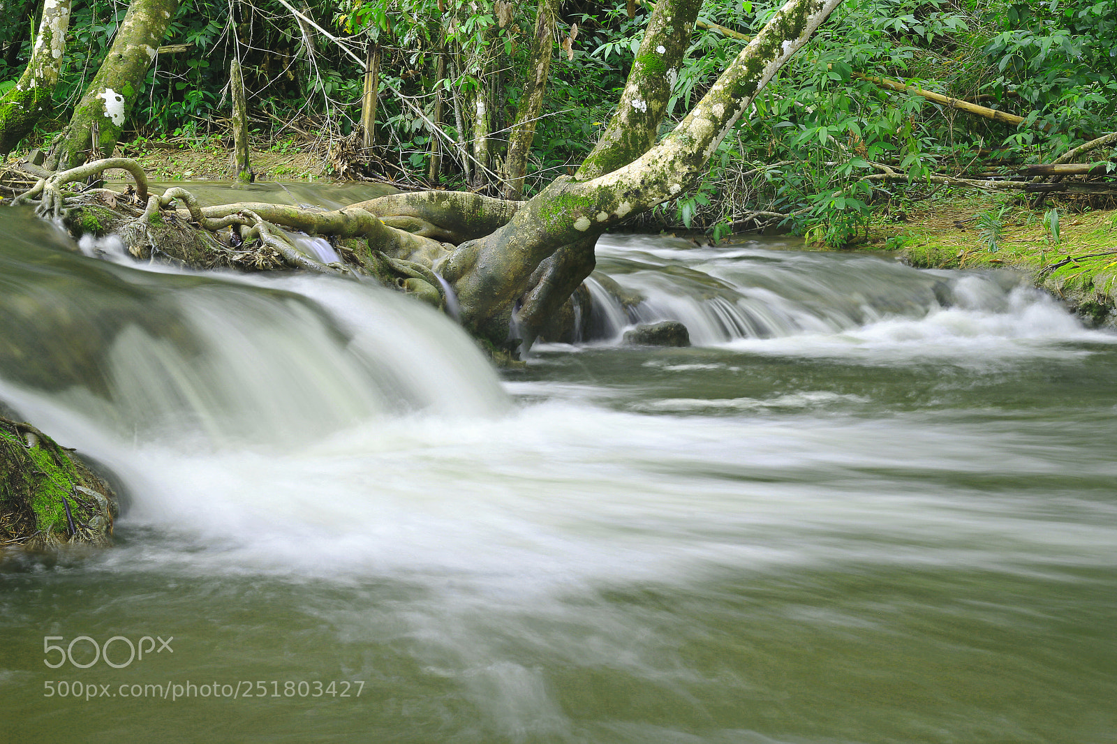 Canon EOS 60D sample photo. Dominguinhos, bodoquena, cachoeira photography
