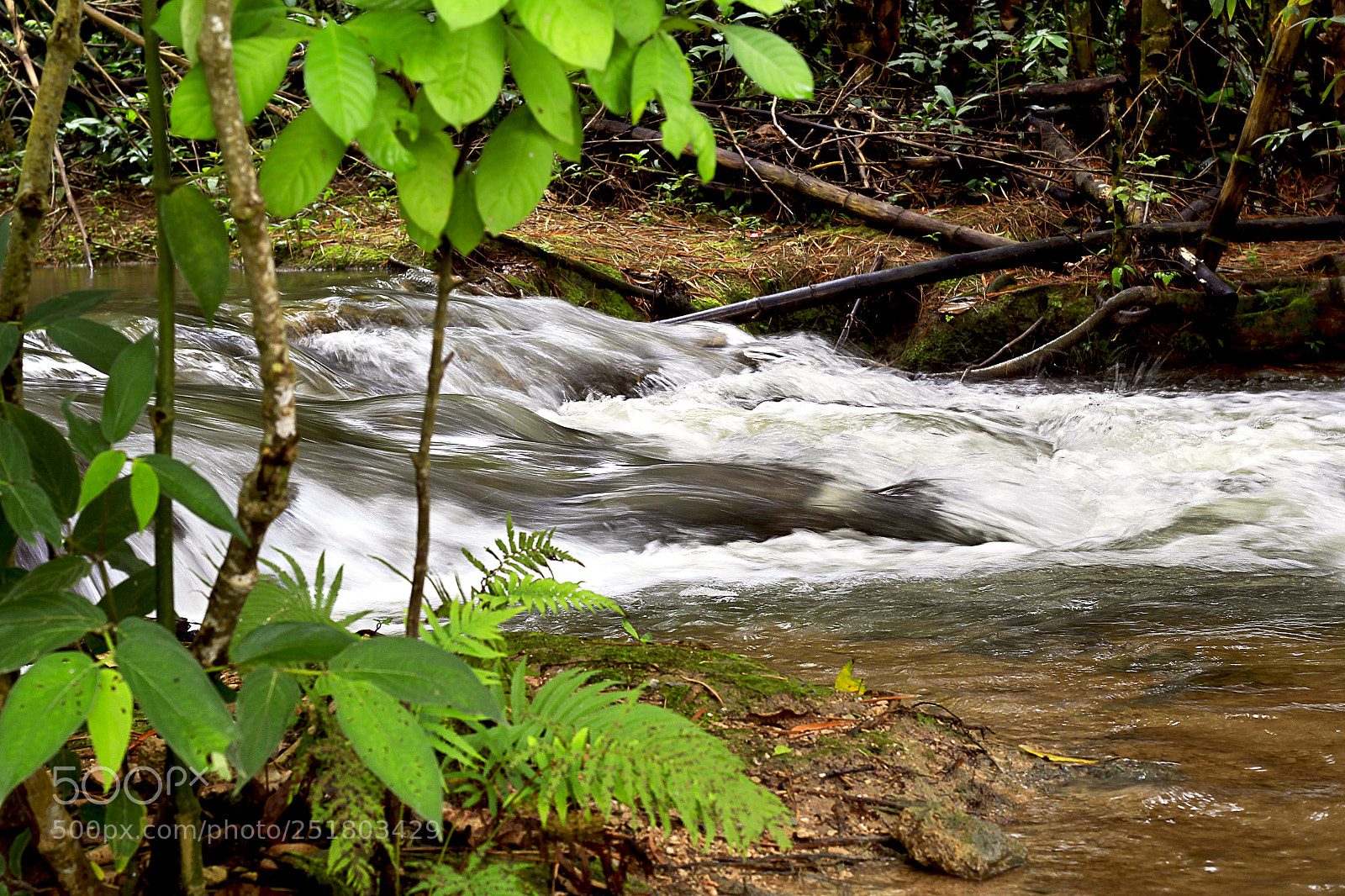 Canon EOS 60D sample photo. Dominguinhos, bodoquena, cachoeira photography