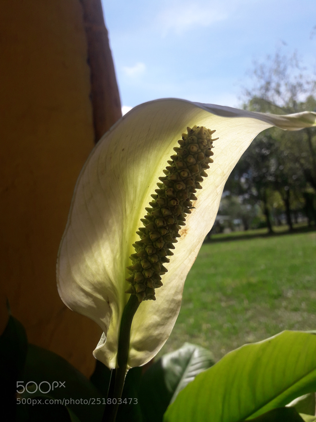 Samsung Galaxy J7 Neo sample photo. Untitled photography