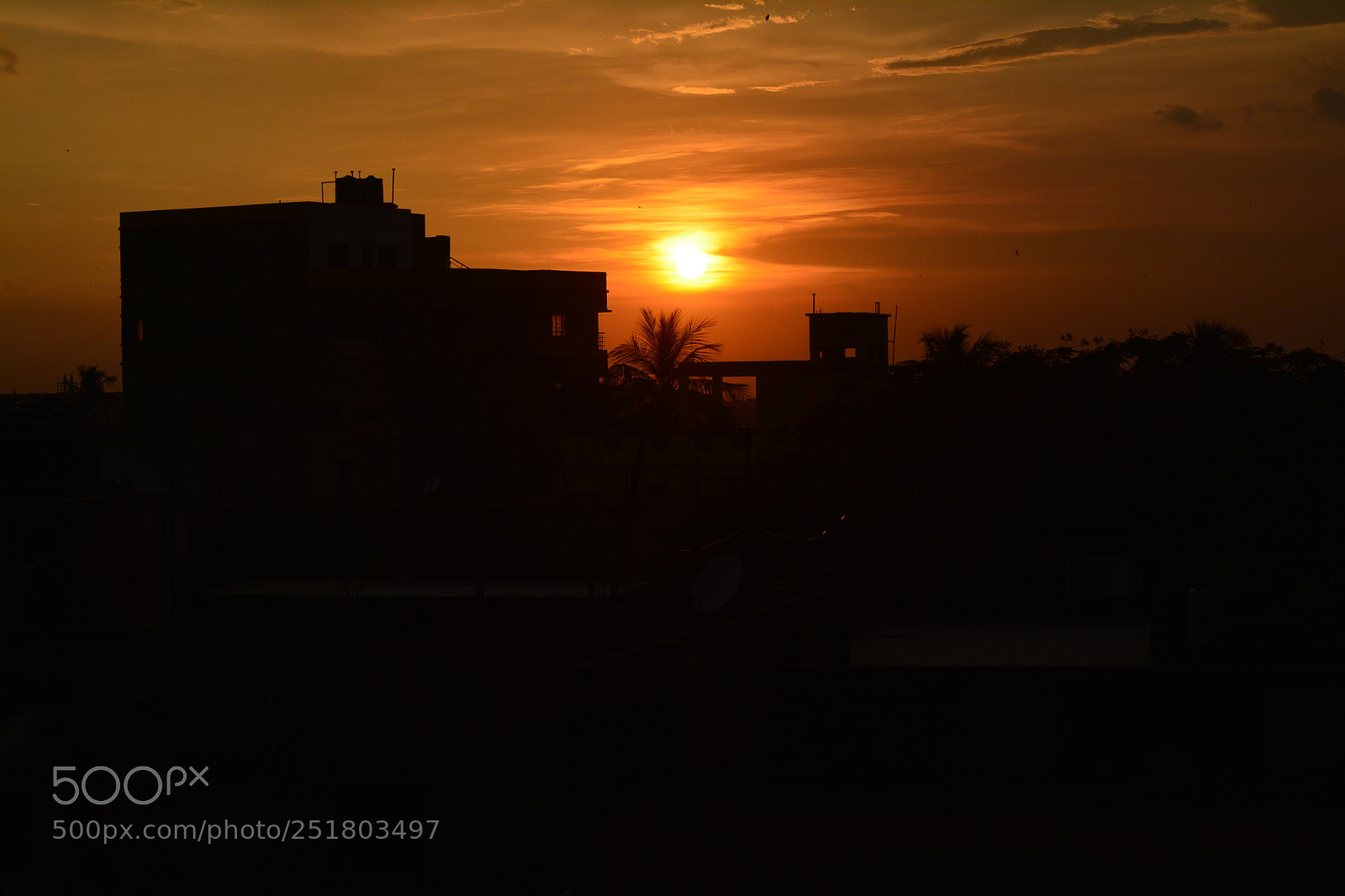 Nikon D5200 sample photo. Beyond your reach photography