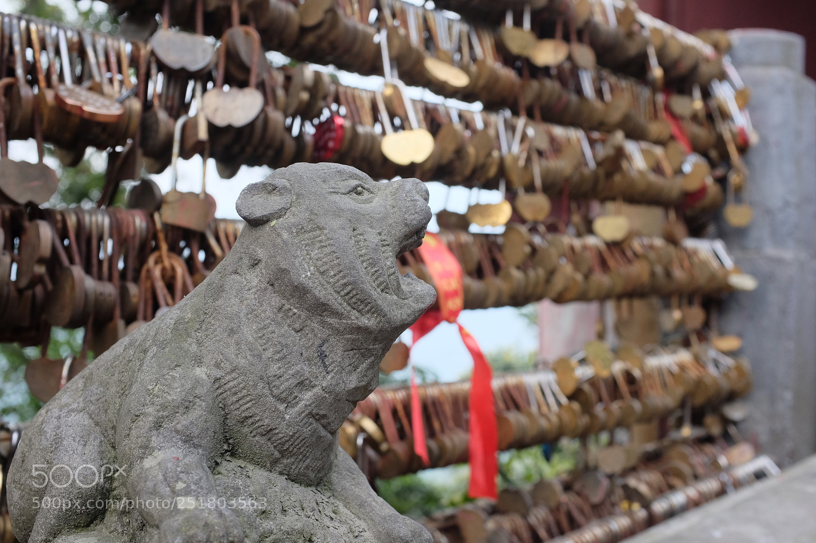 Fujifilm X100T sample photo. Dscf photography