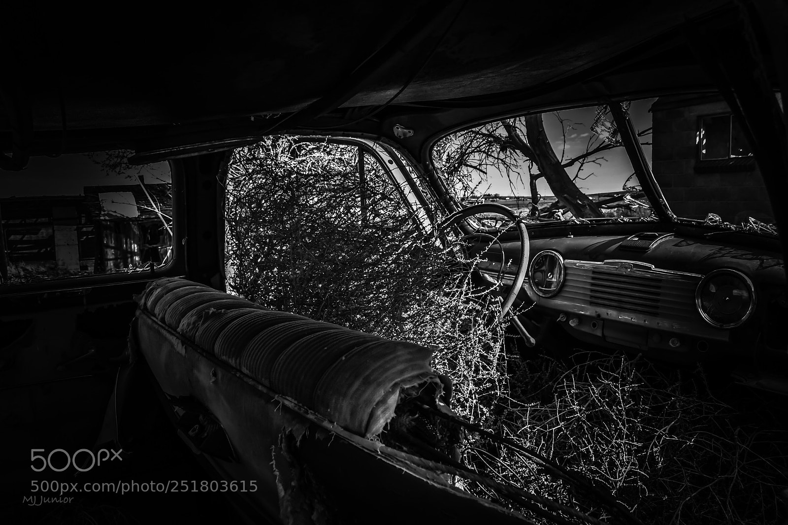 Nikon D7500 sample photo. Tumbleweed cab... photography