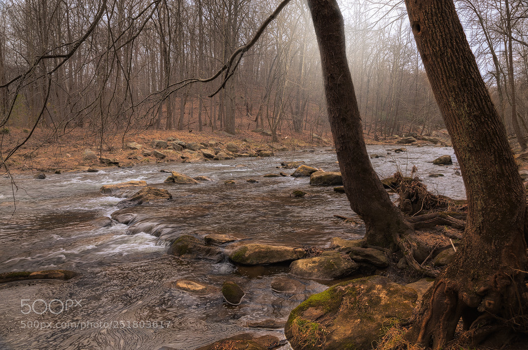 Canon EOS 5D Mark IV sample photo. Pvsp no web photography