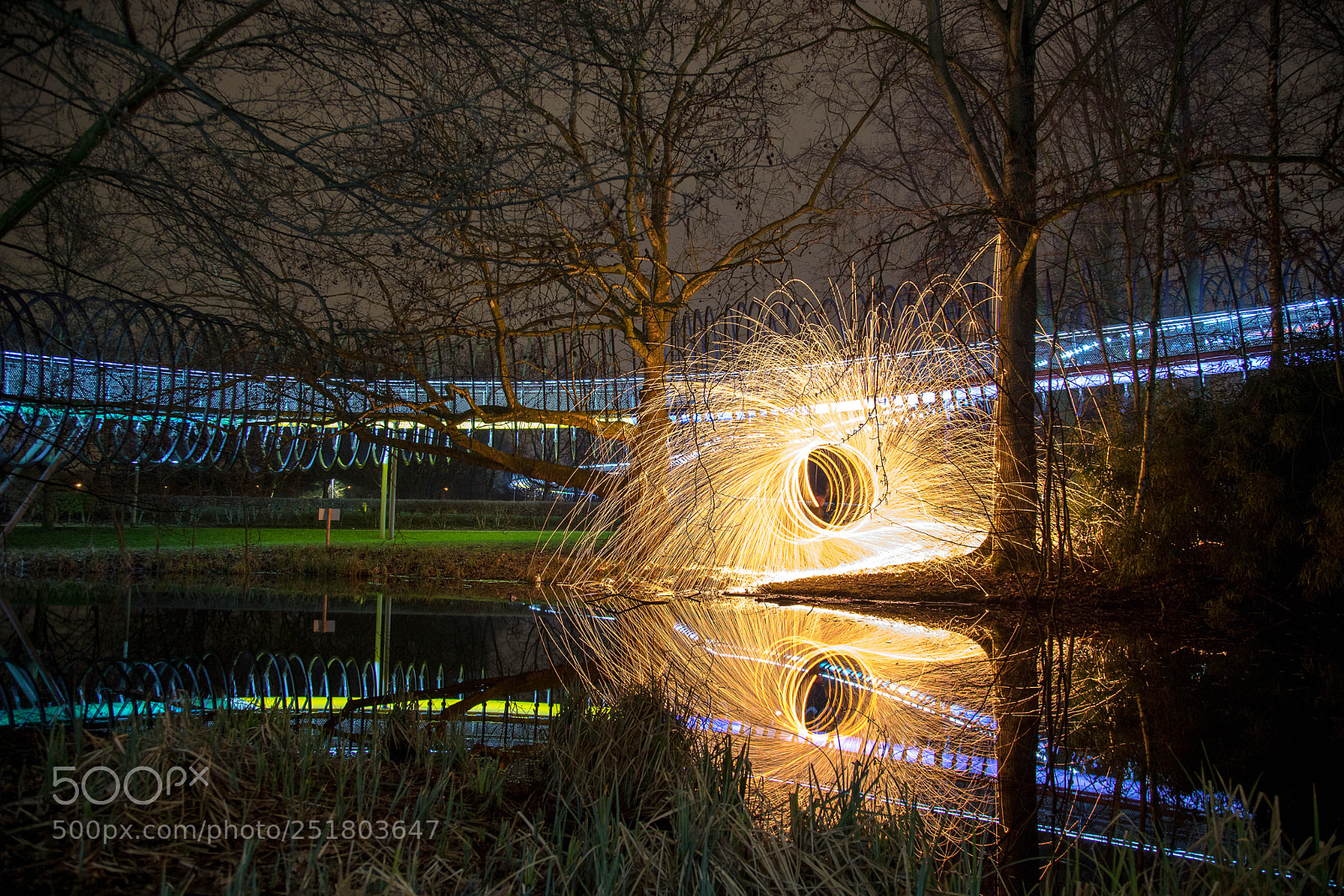 Canon EOS 6D Mark II sample photo. Slinky springs and the photography