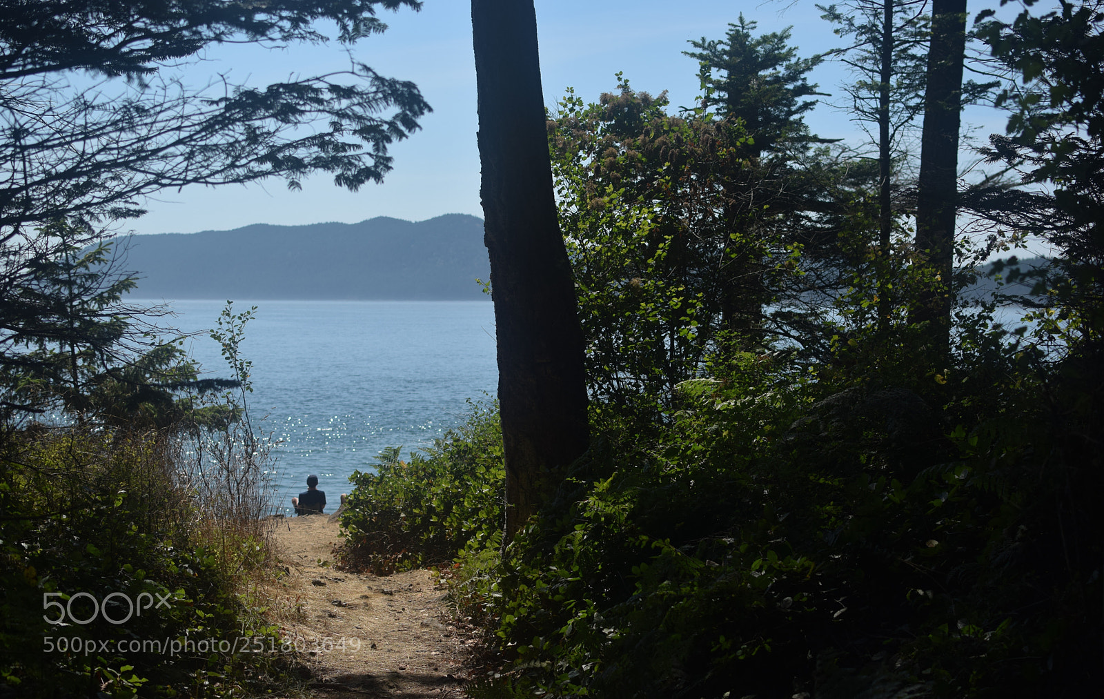 Nikon D5300 sample photo. A good spot photography