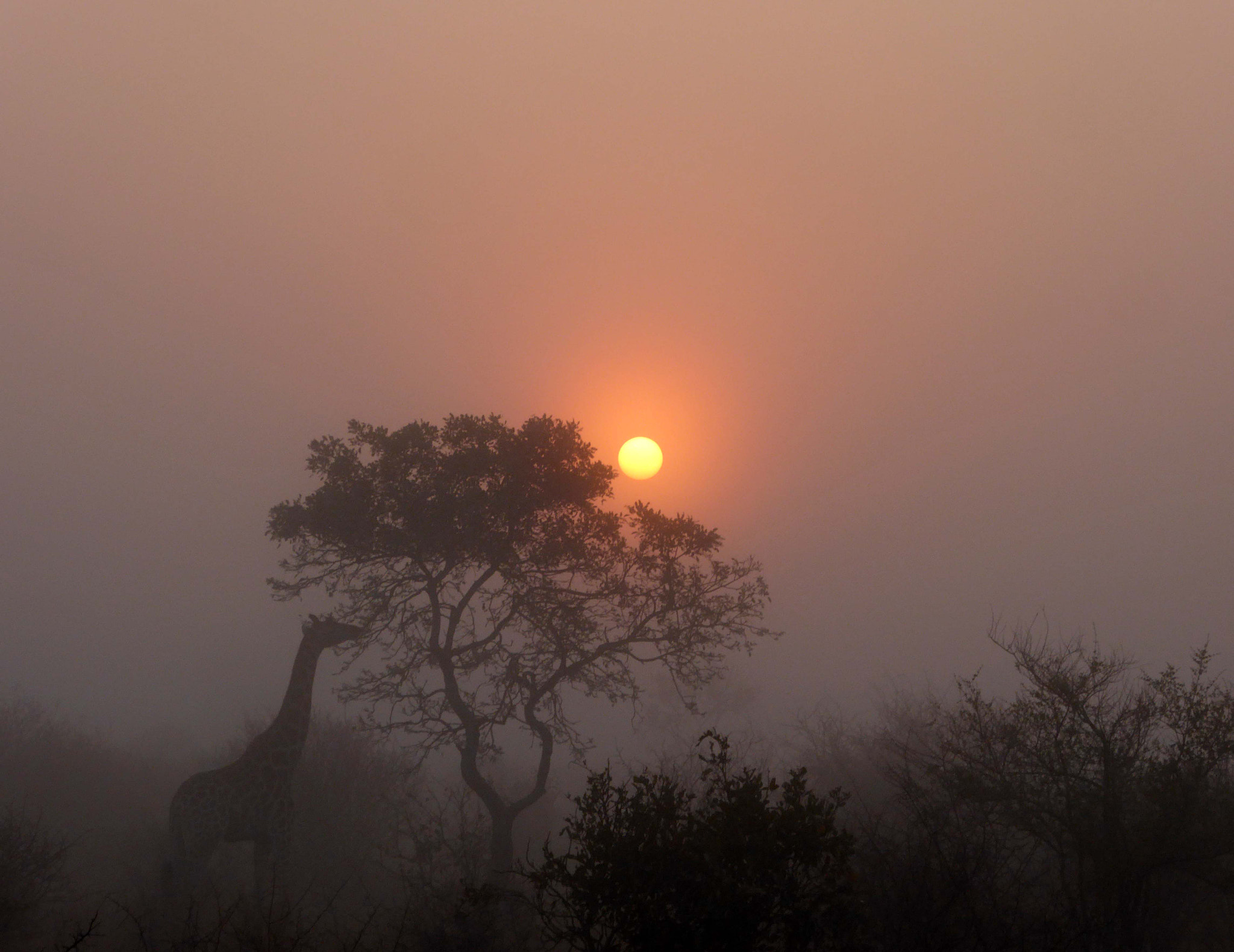 Panasonic Lumix DMC-ZS40 (Lumix DMC-TZ60) sample photo. Misty morning sunrise photography