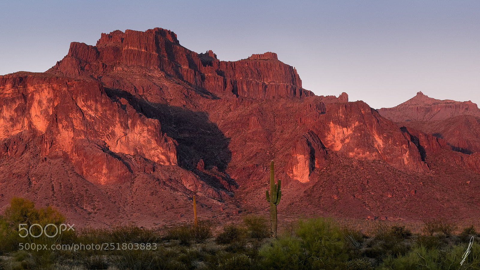 Canon EOS 7D sample photo. Superstition cougar shadow photography
