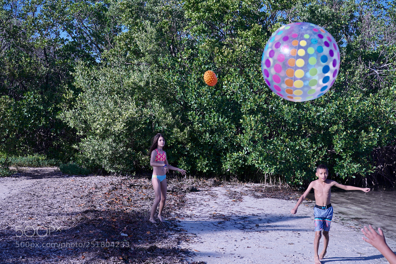 Sony a9 sample photo. Super fast shoot speed photography