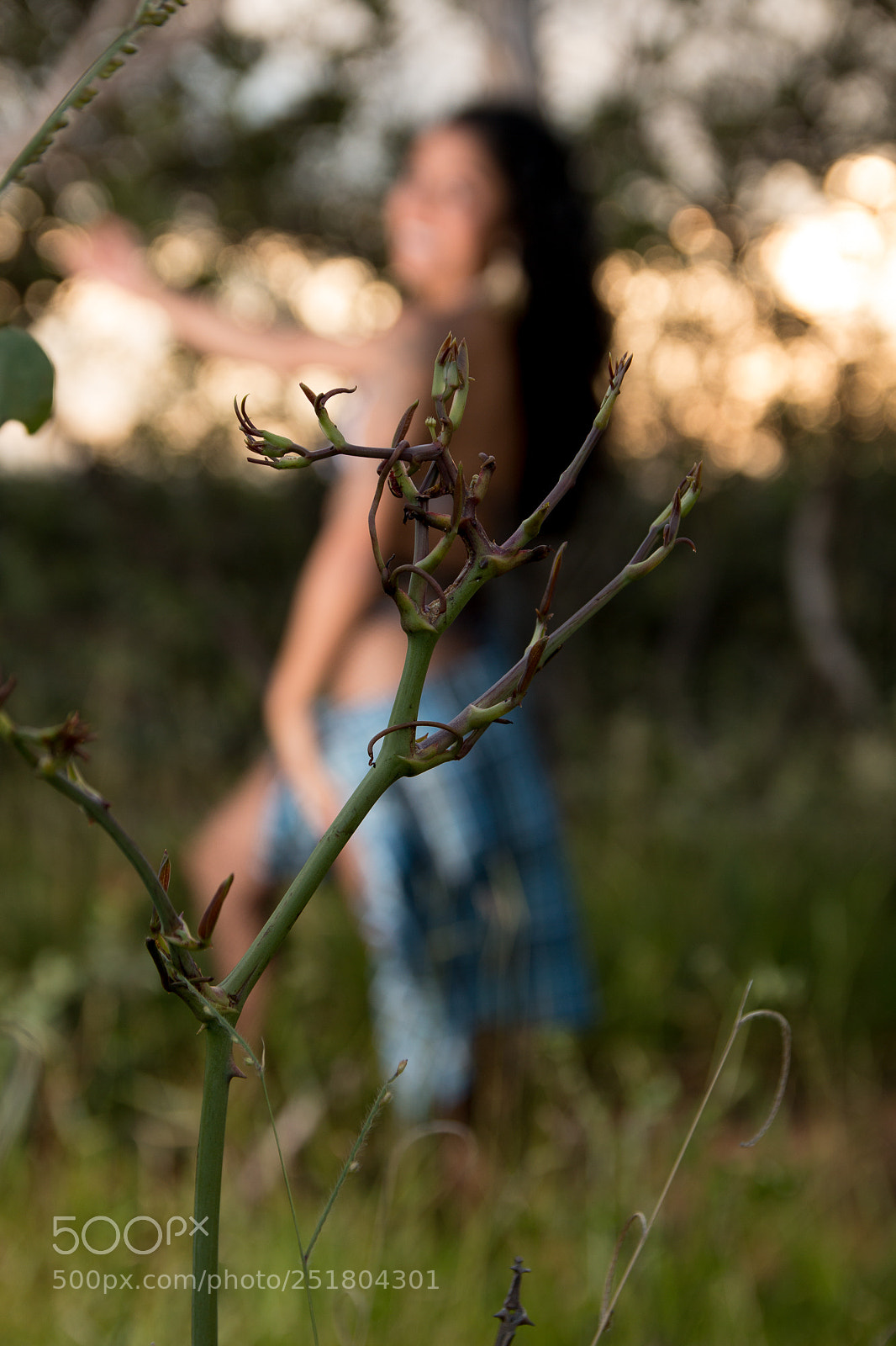 Canon EOS 70D sample photo. Untitled photography