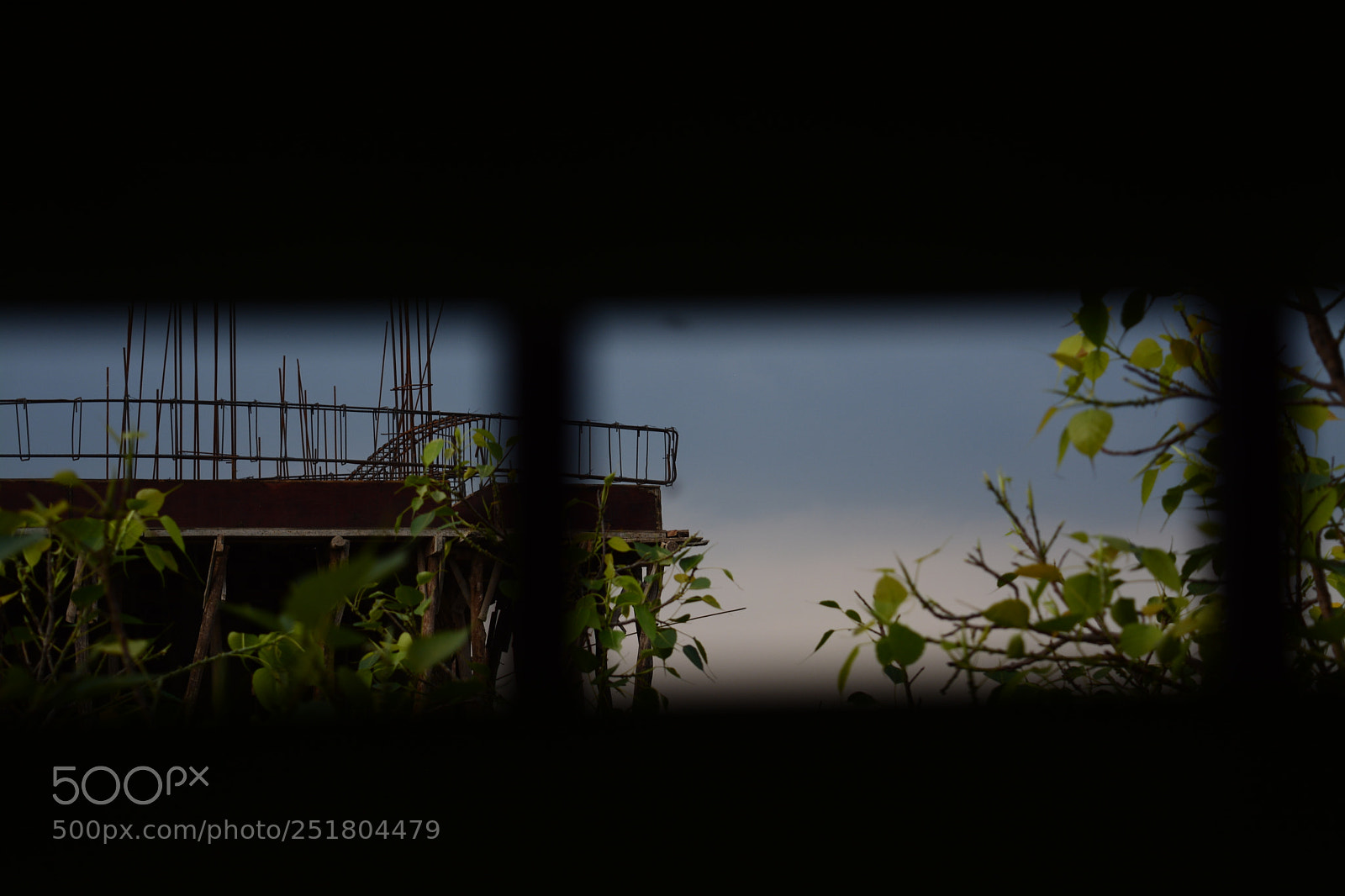 Nikon D5200 sample photo. Nature- i peep through photography