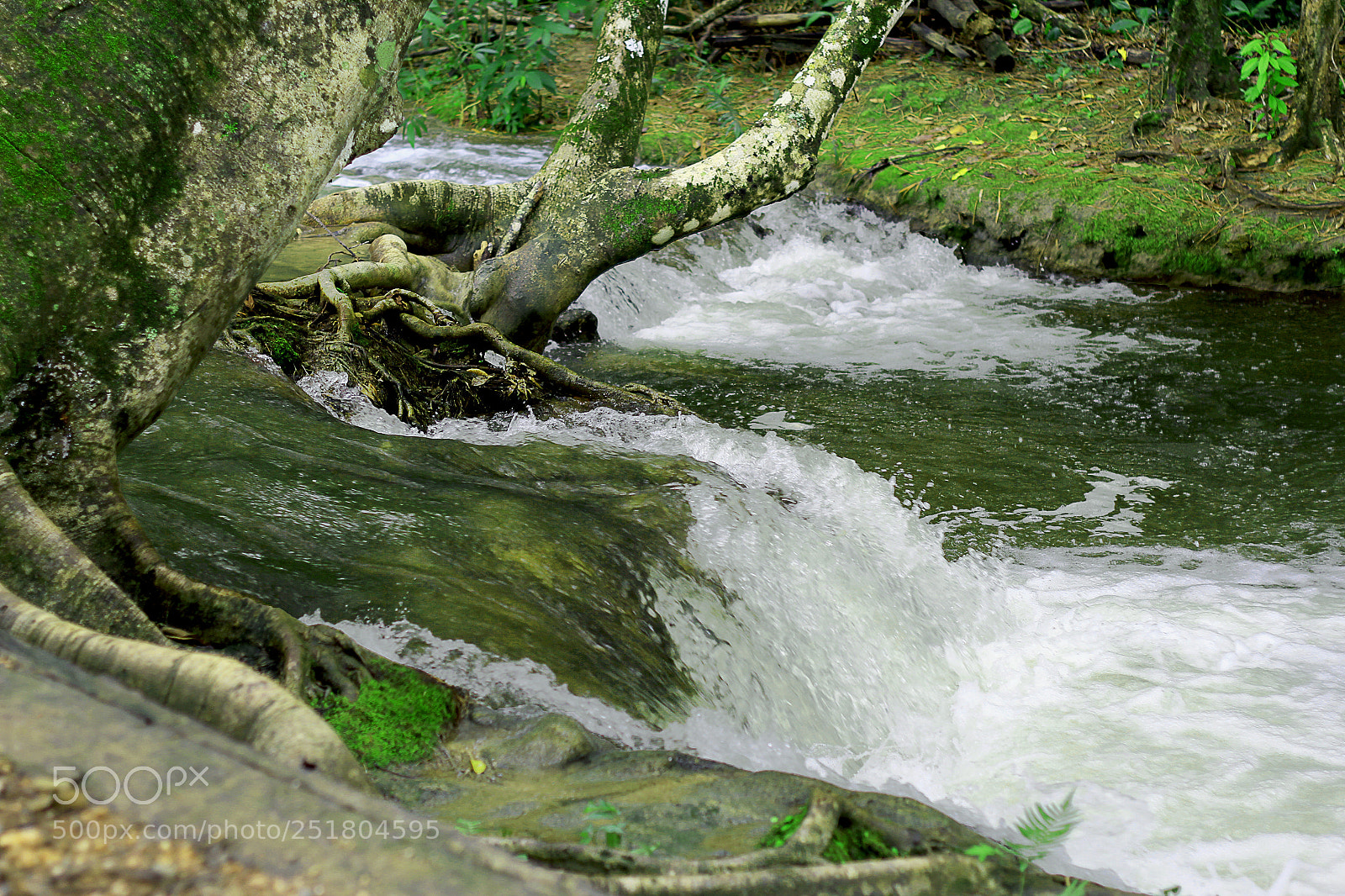 Canon EOS 60D sample photo. Dominguinhos, bodoquena, cachoeira photography