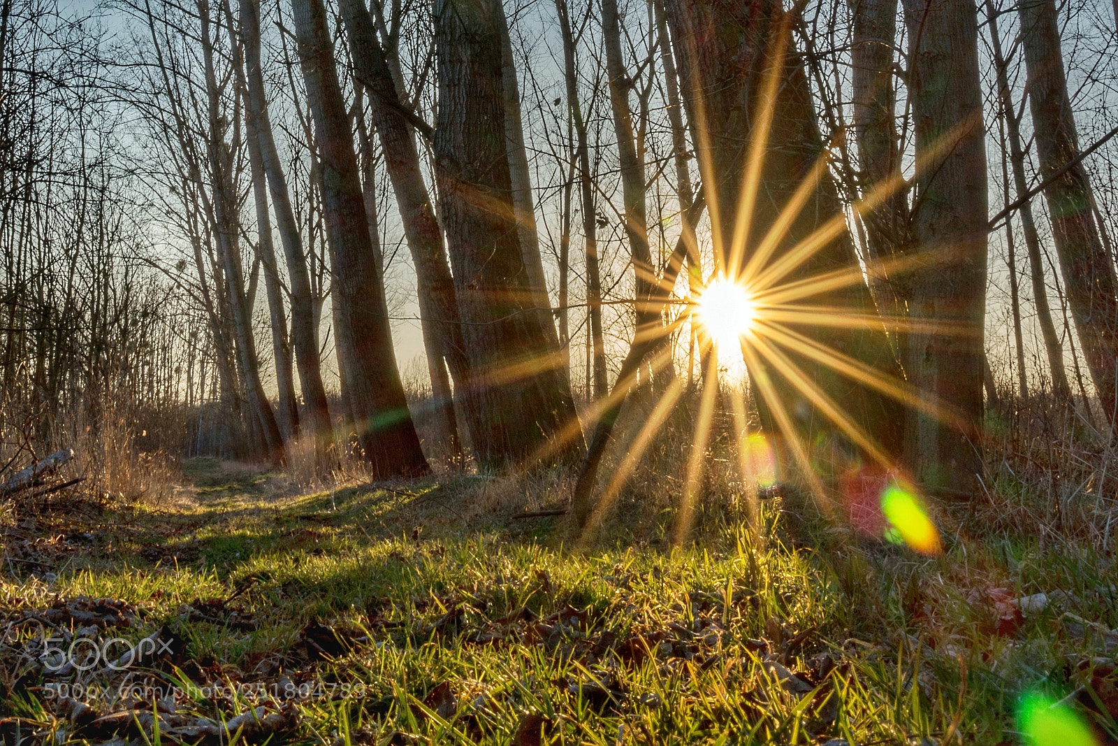 Sony a7R III sample photo. Sunset photography
