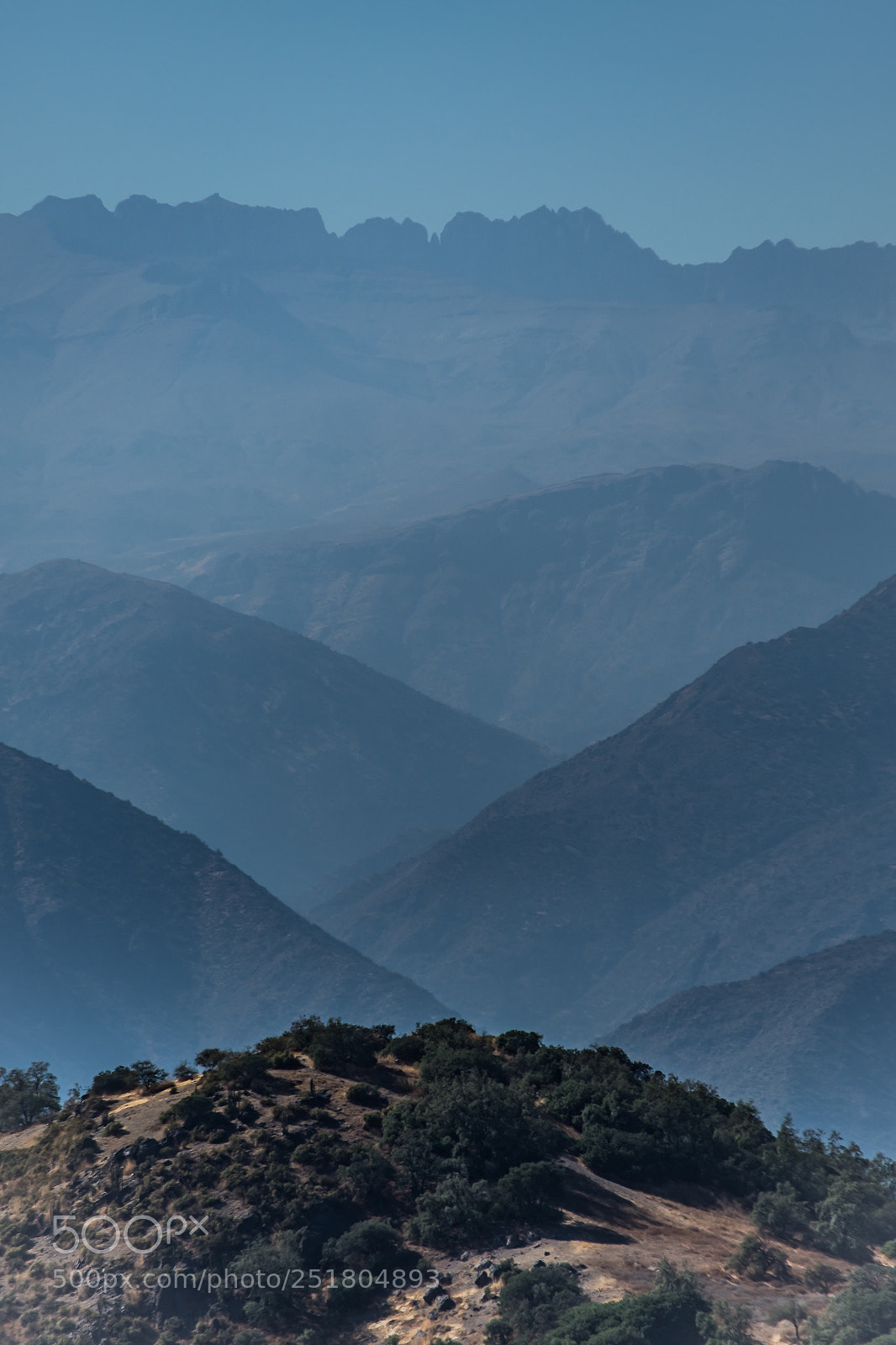 Nikon D7500 sample photo. 8 hazy dephs of field photography