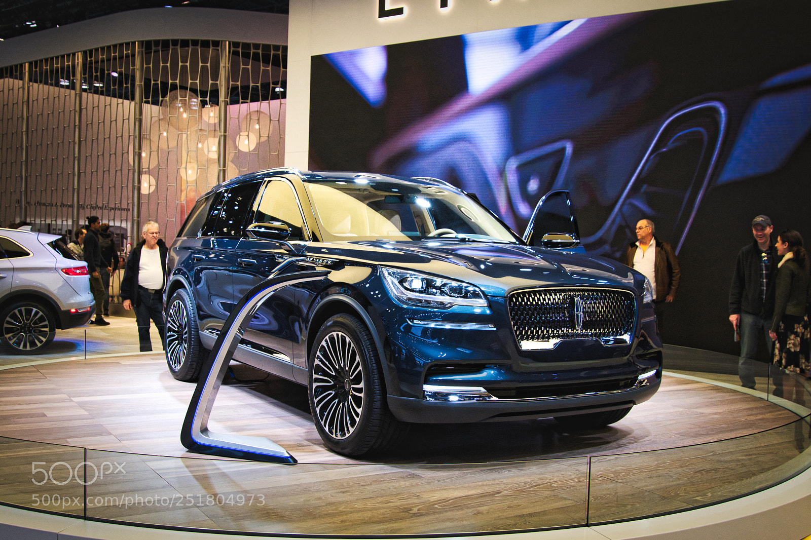 Nikon D500 sample photo. Lincoln aviator photography