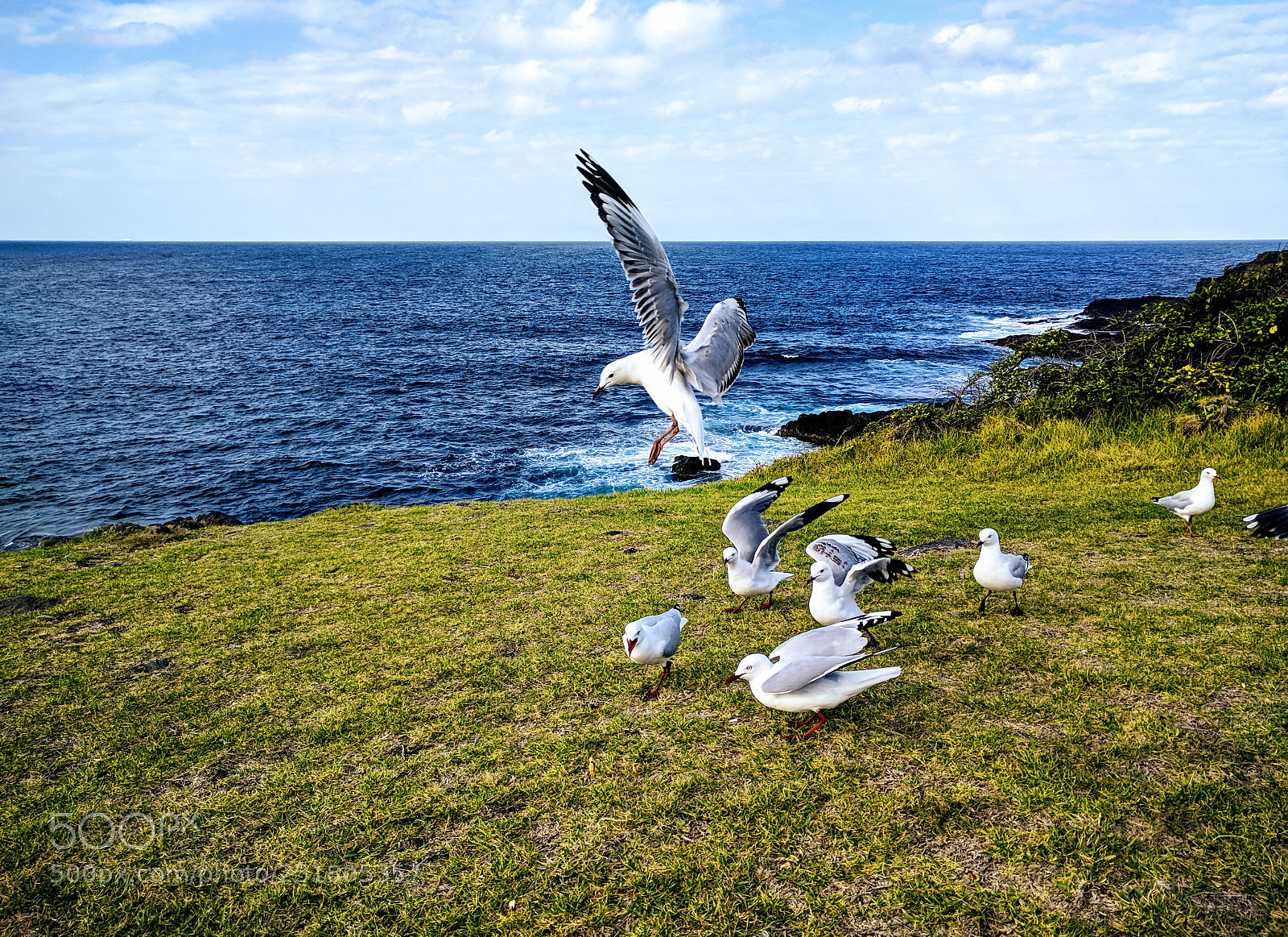 Google Nexus 6P sample photo. Life, earth and sea photography