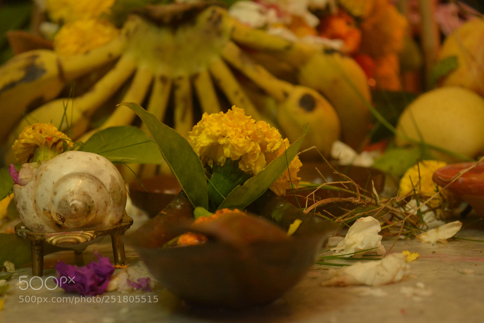 Nikon D5200 sample photo. Festivities creates perfect frames photography