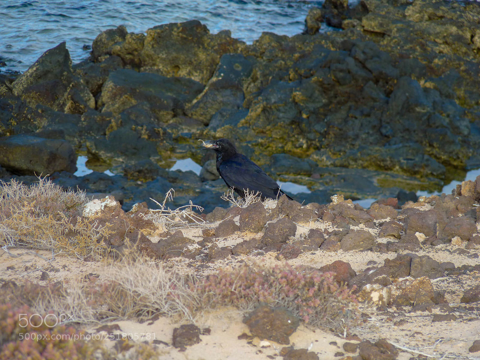 Panasonic Lumix DMC-FZ28 sample photo. La graciosa 2017 photography