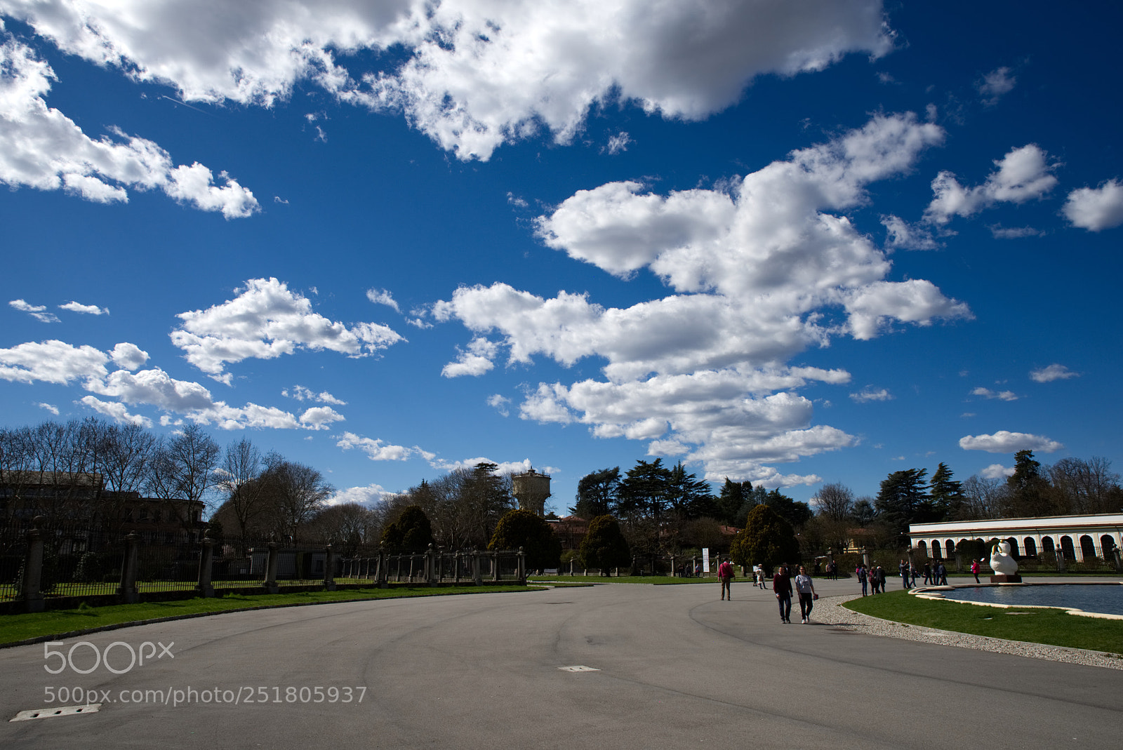 Nikon D810 sample photo. Untitled photography