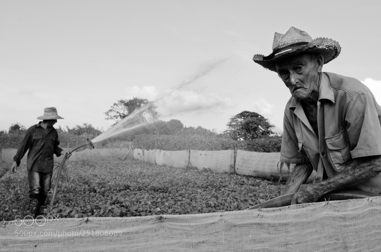 Nikon D7000 sample photo. Campesinos photography