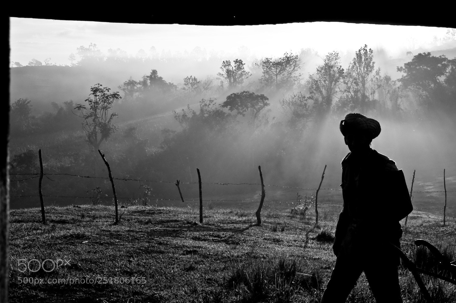 Nikon D40 sample photo. Campesinos photography
