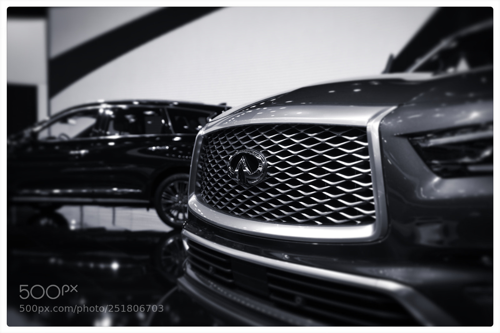 Nikon D500 sample photo. Infiniti detail photography
