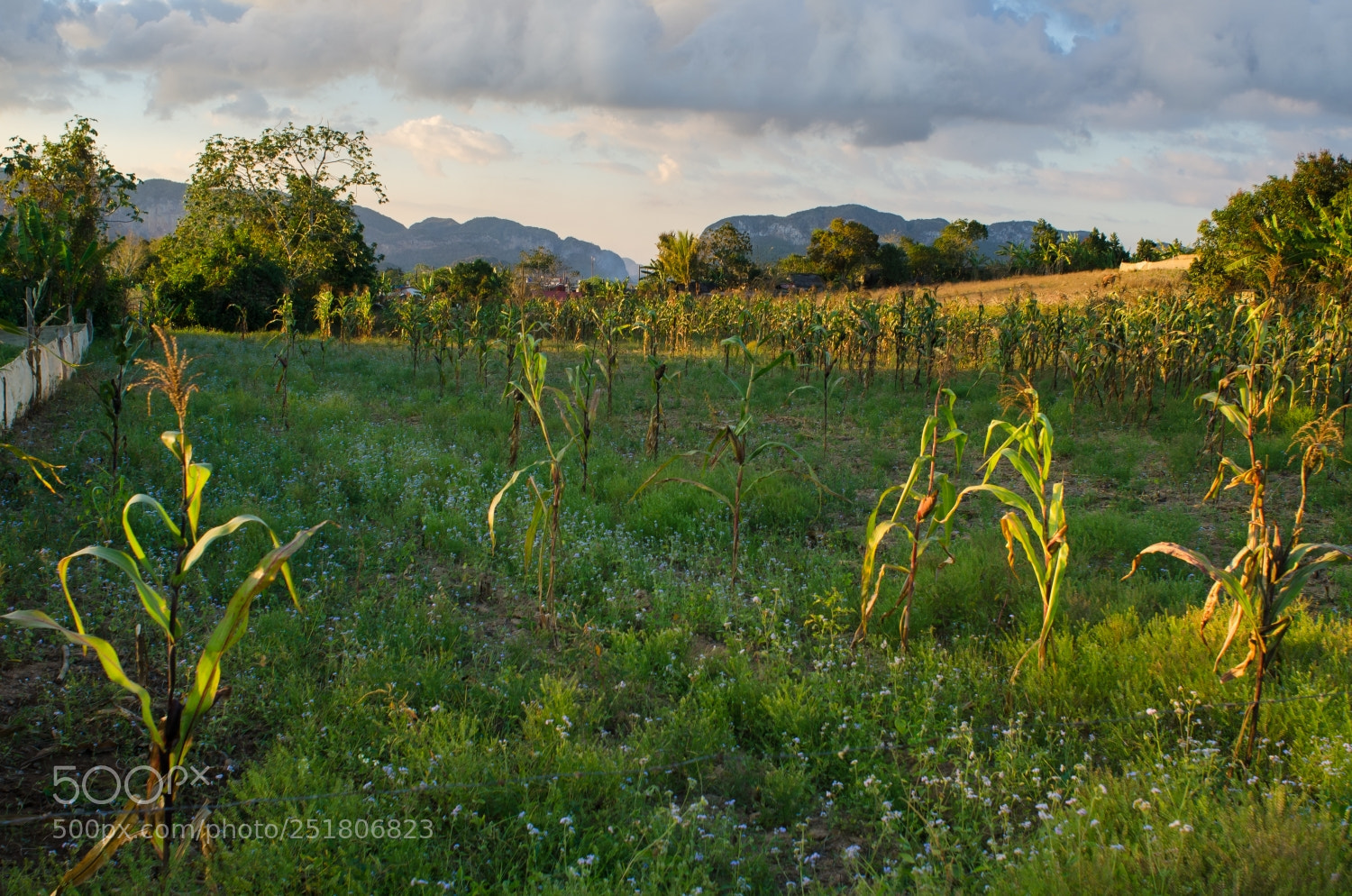 Nikon D7000 sample photo. Vinales dreams photography