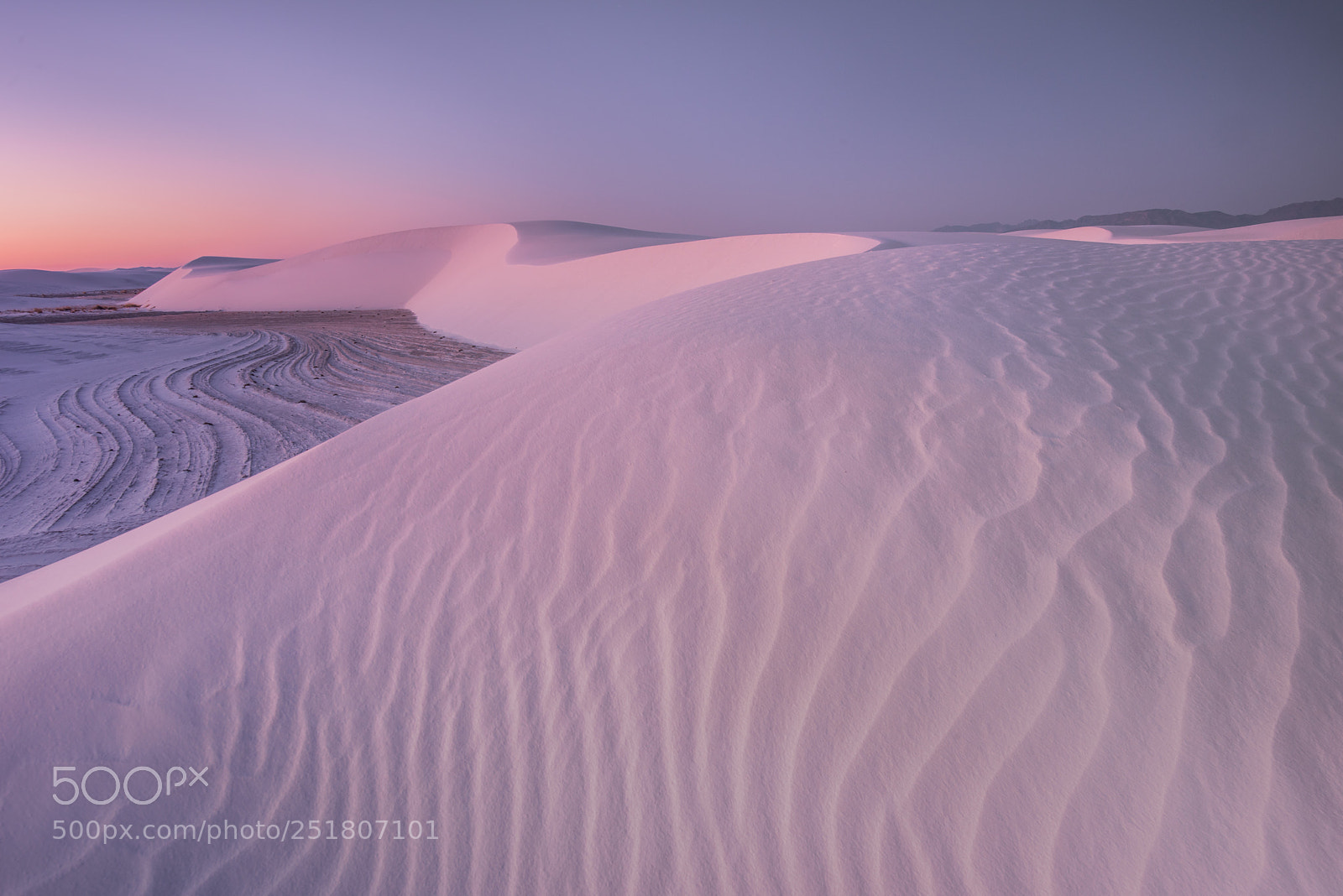 Nikon D810 sample photo. White sands  photography