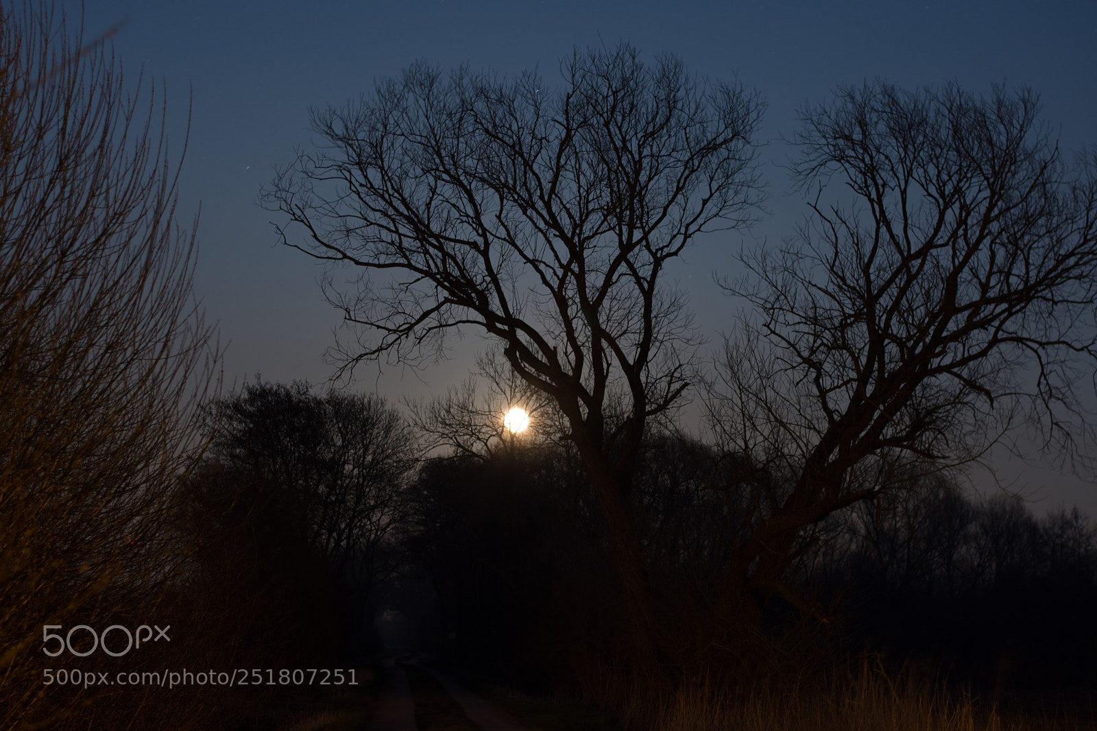 Nikon D7200 sample photo. Single lane photography