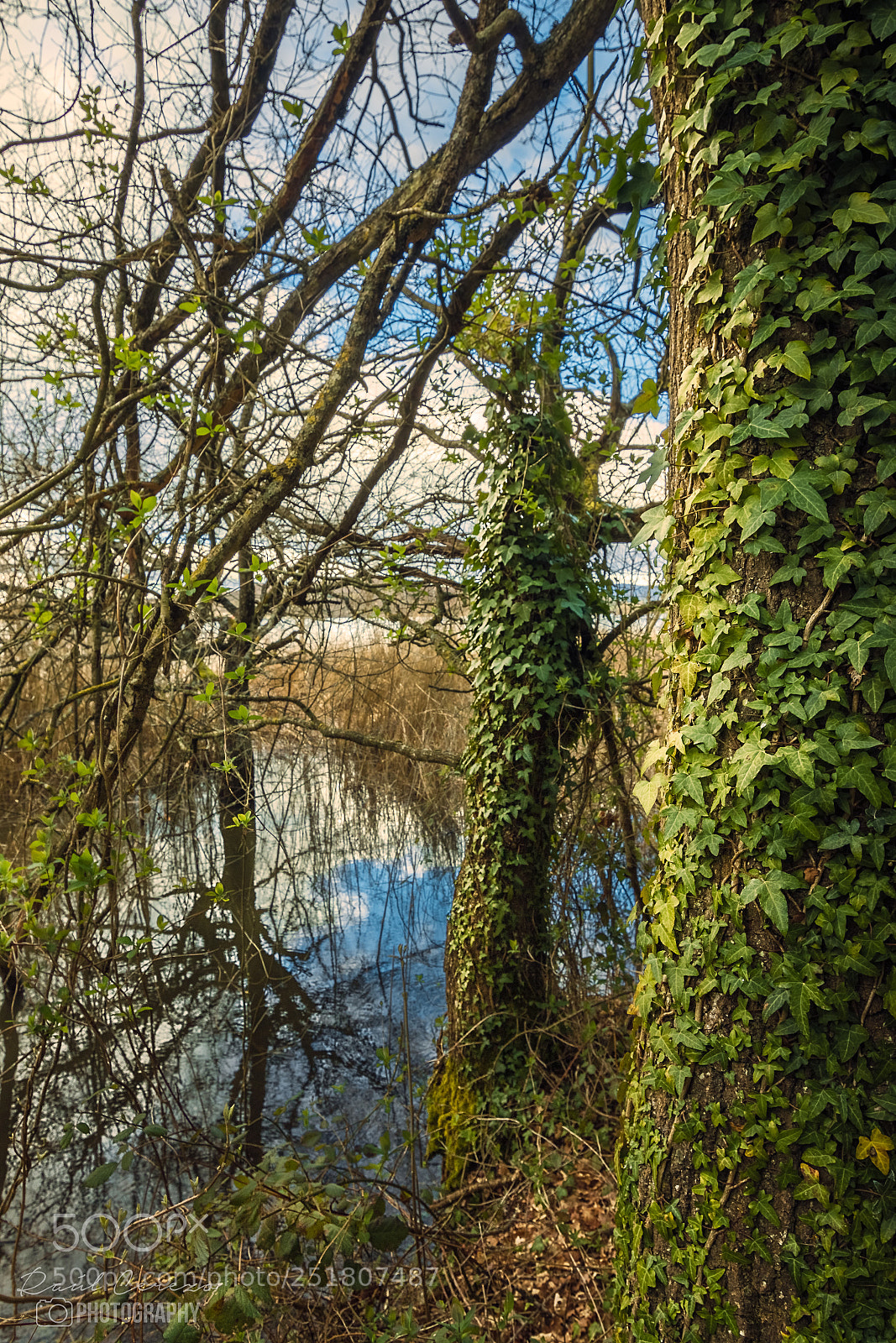 Canon EOS 70D sample photo. Reflejos  photography