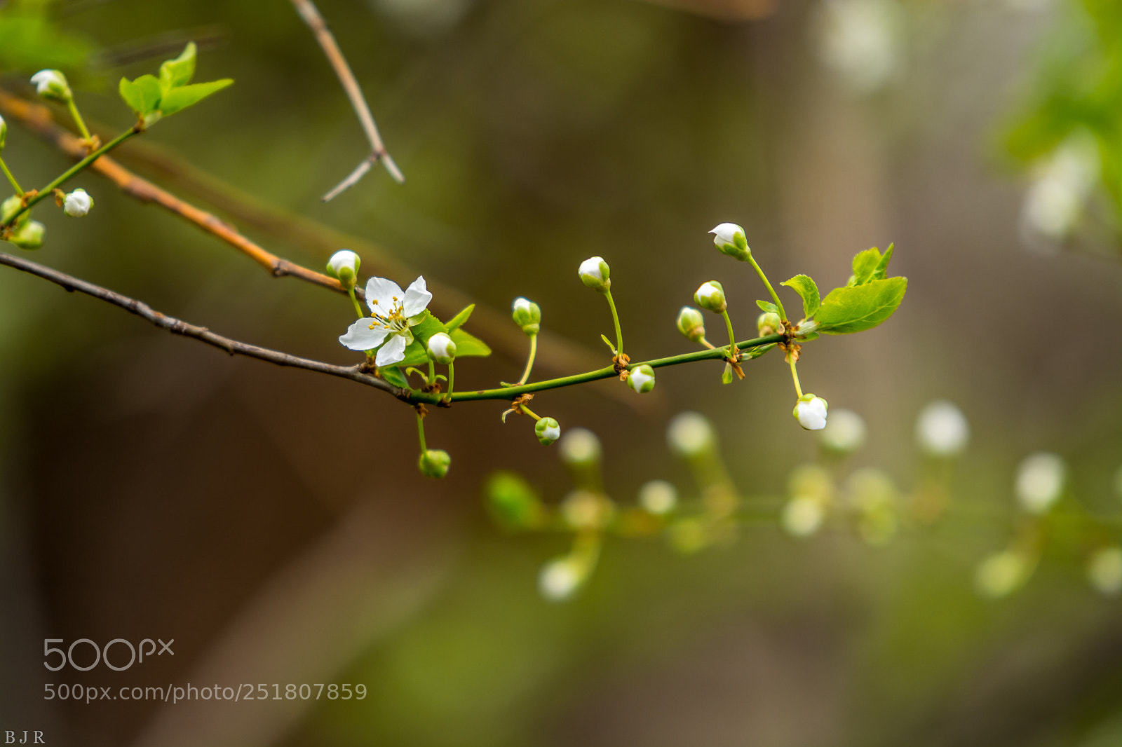 Nikon D7100 sample photo. Untitled photography