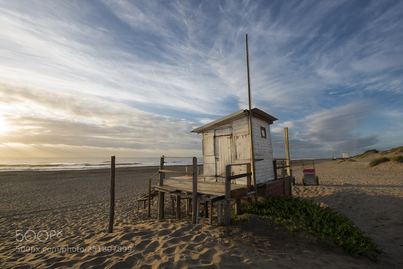 Nikon D810 sample photo. Untitled photography