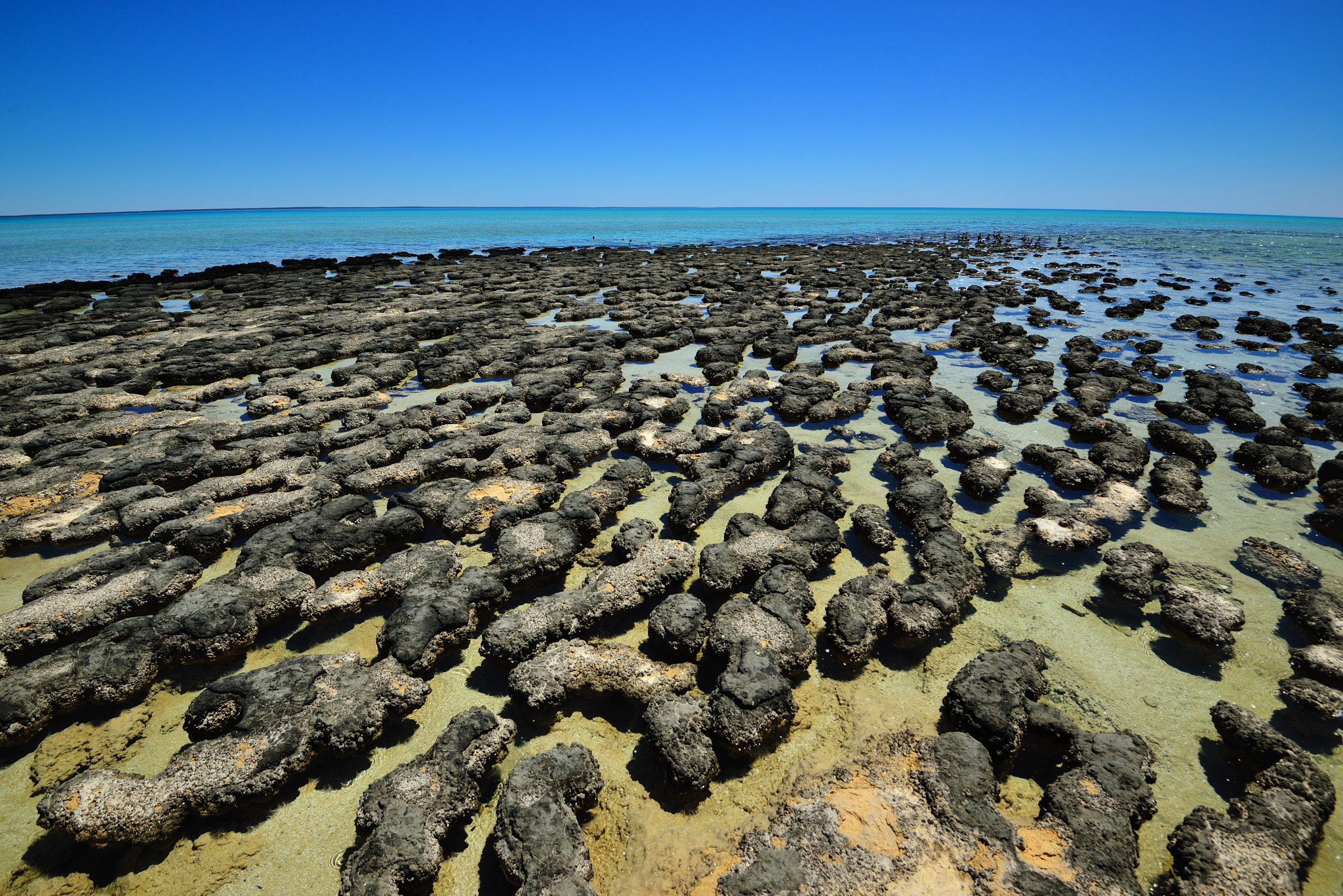 Nikon D800E + Nikon AF-S Nikkor 16-35mm F4G ED VR sample photo. Growth photography