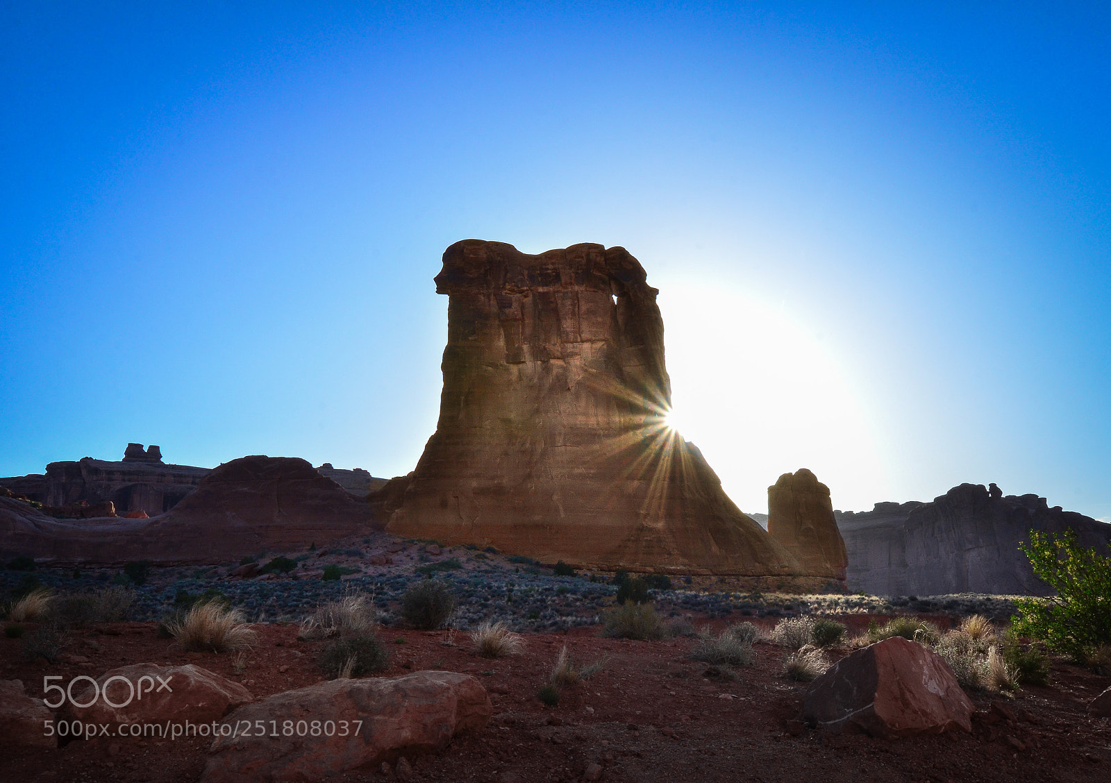 Nikon D7000 sample photo. Uprising rock star photography