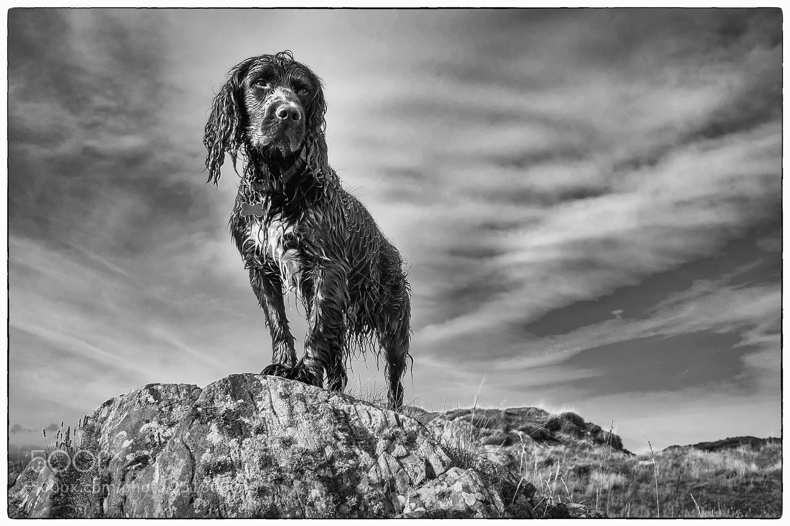 Fujifilm X100S sample photo. Pilot in scotland  photography