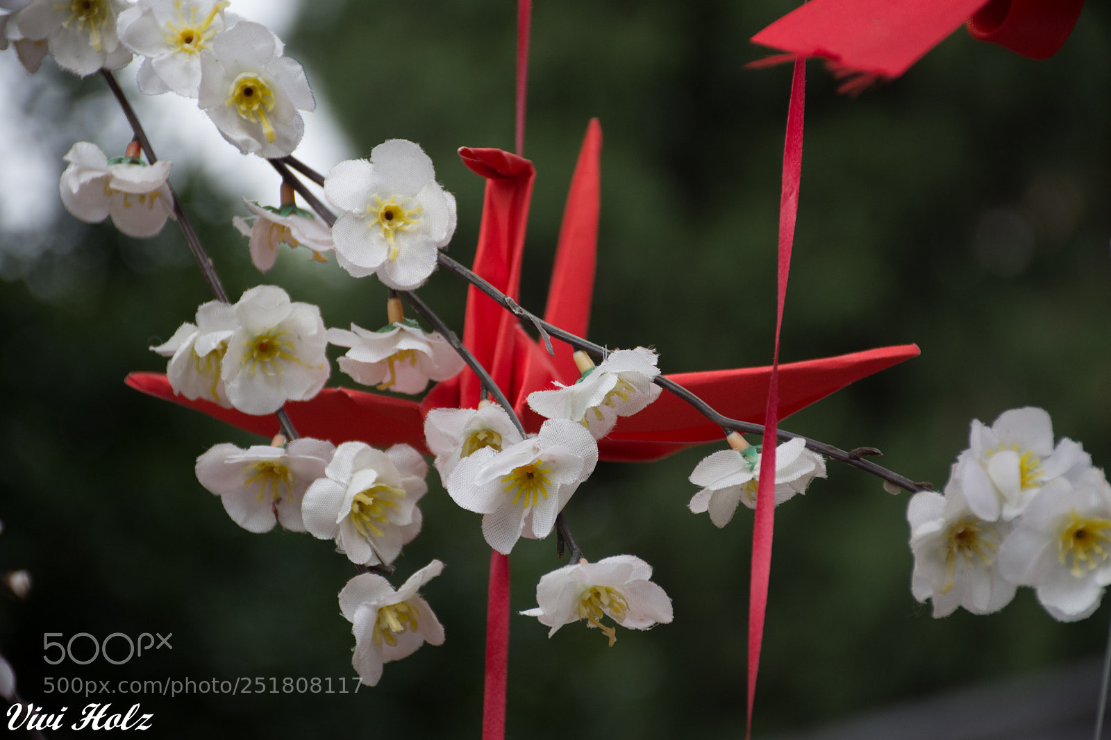 Nikon D7200 sample photo. Grulla de primavera photography