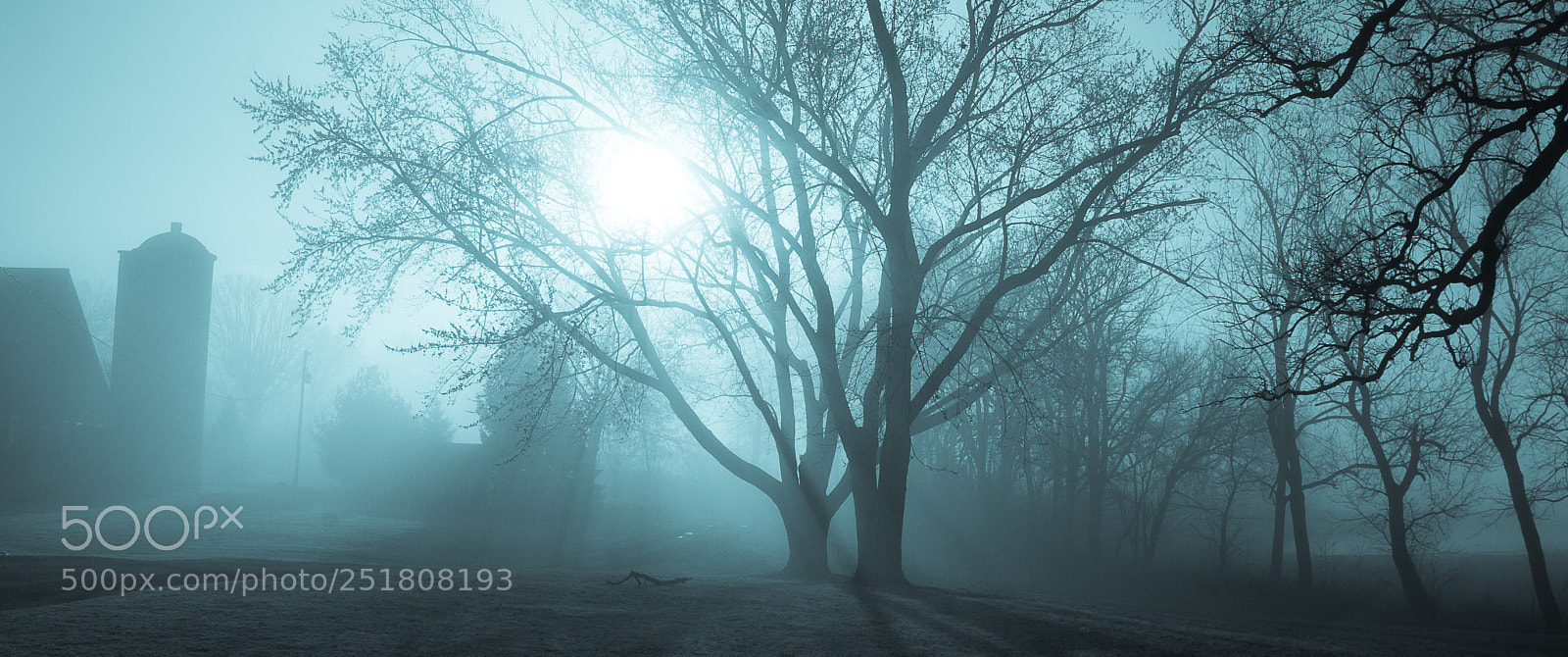 Sony SLT-A58 sample photo. Fog at the farm photography