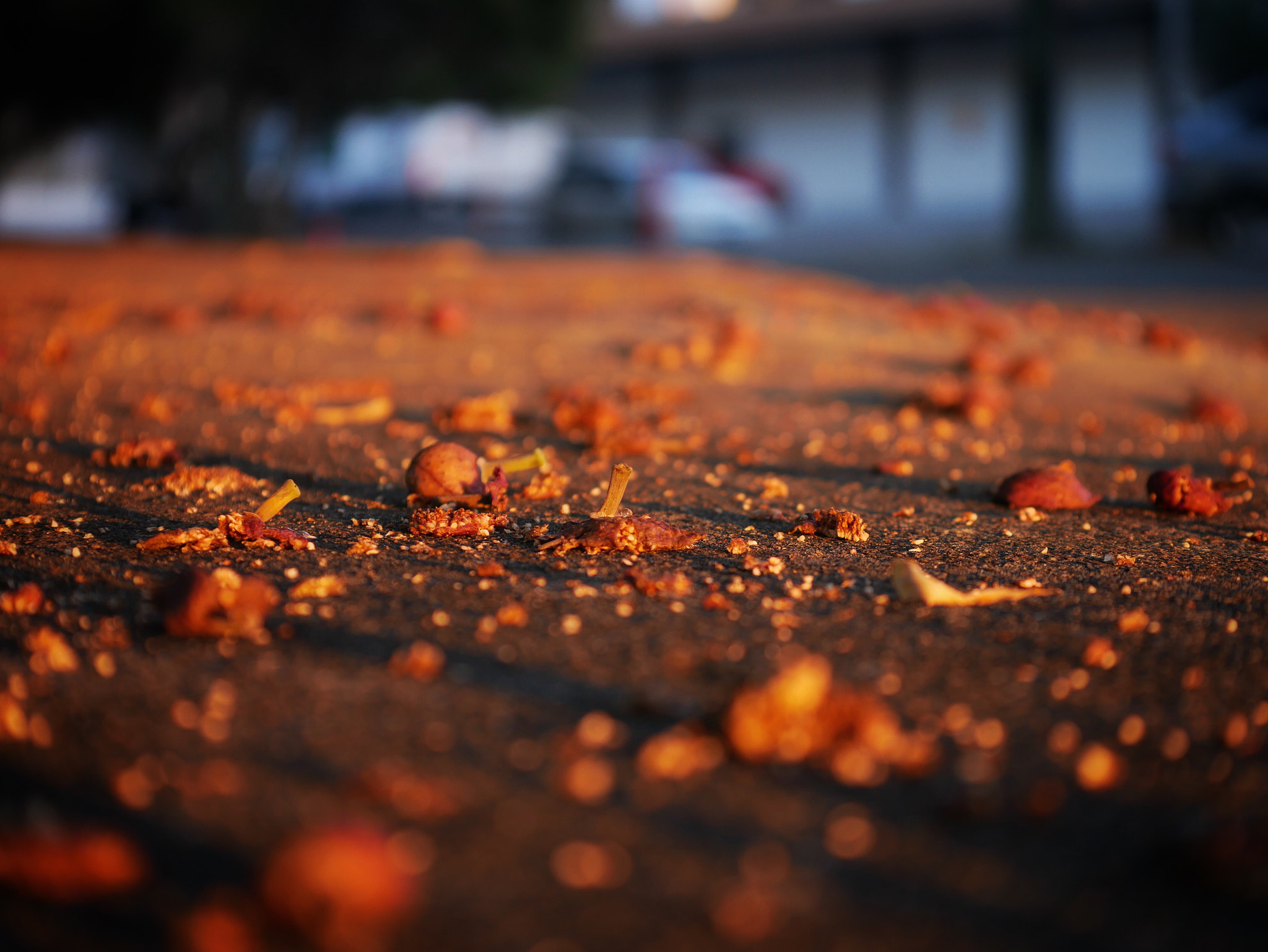 Panasonic Lumix DC-GX850 (Lumix DC-GX800 / Lumix DC-GF9) sample photo