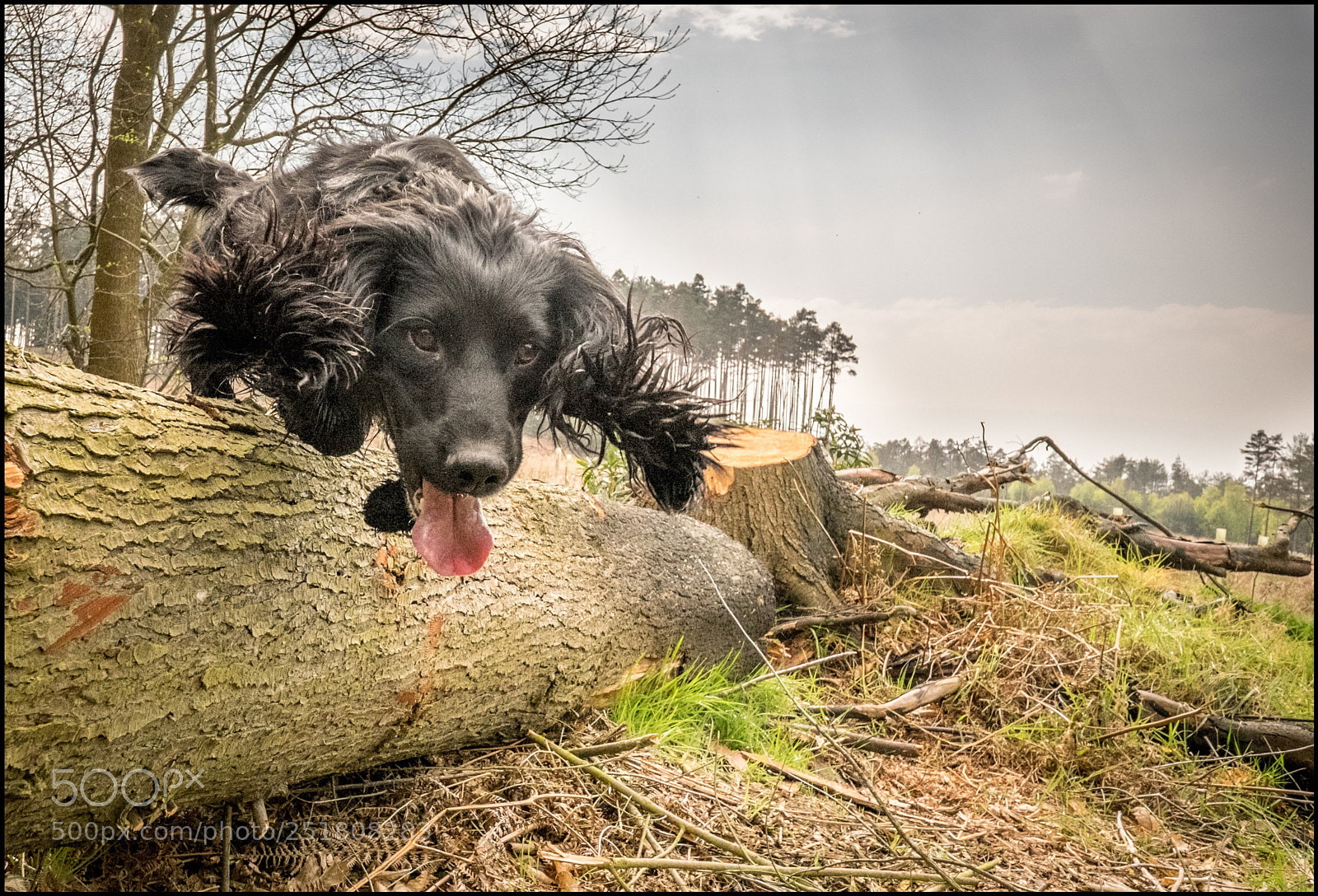 Fujifilm X-T1 sample photo. Pilot in crowthorne photography