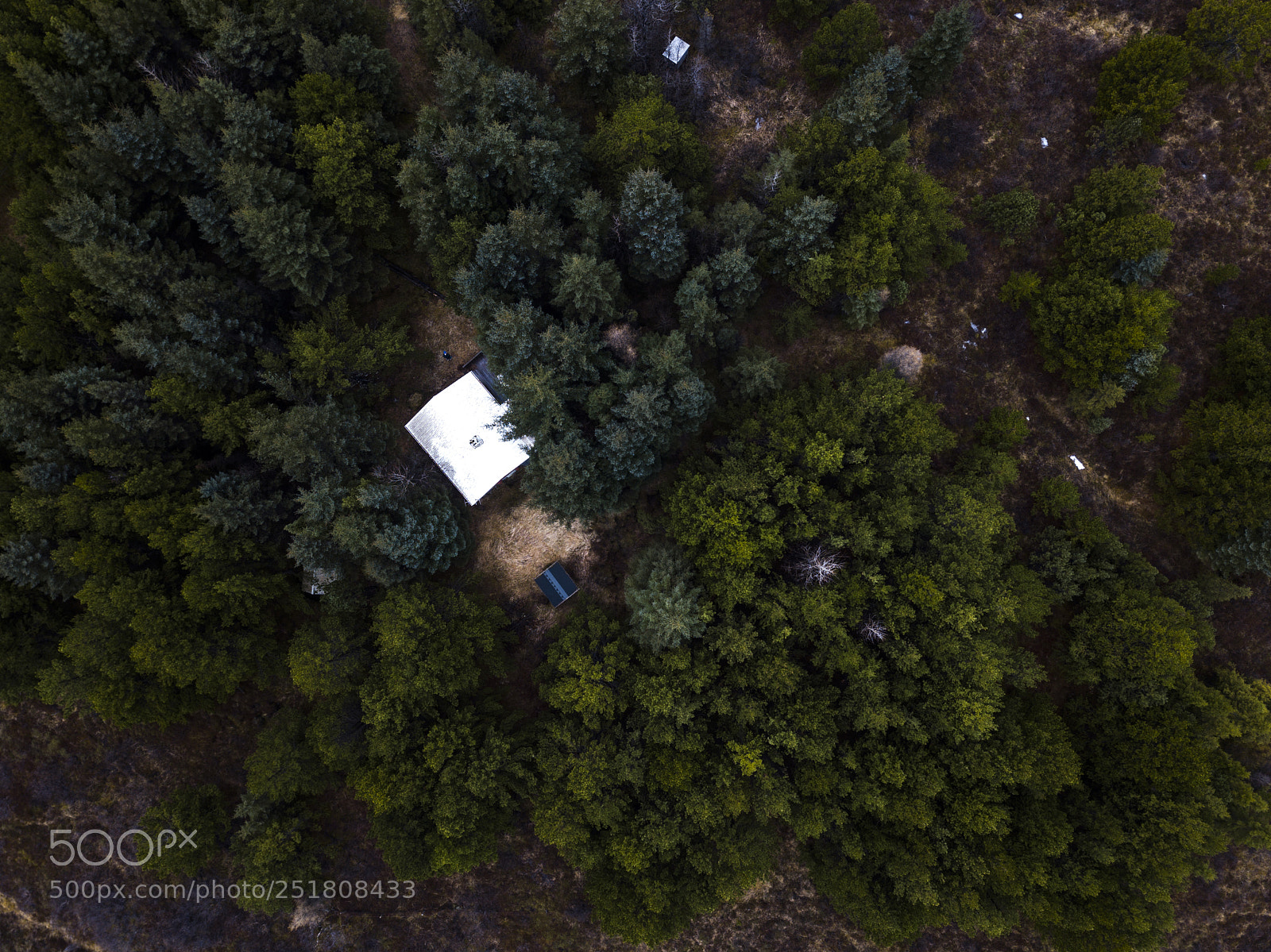 DJI FC220 sample photo. Trees in iceland photography