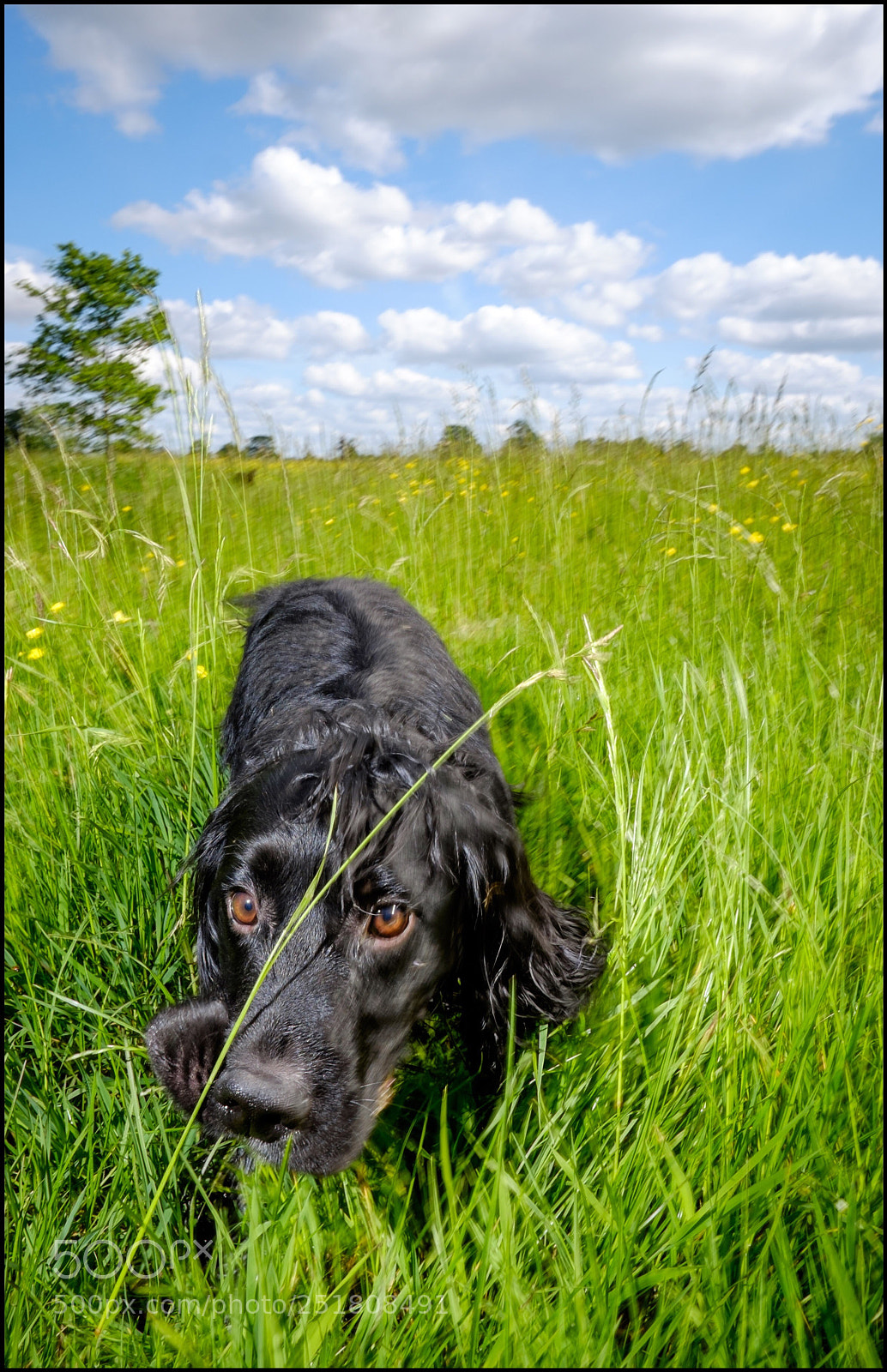 Fujifilm X-T1 sample photo. Pilot in the long photography
